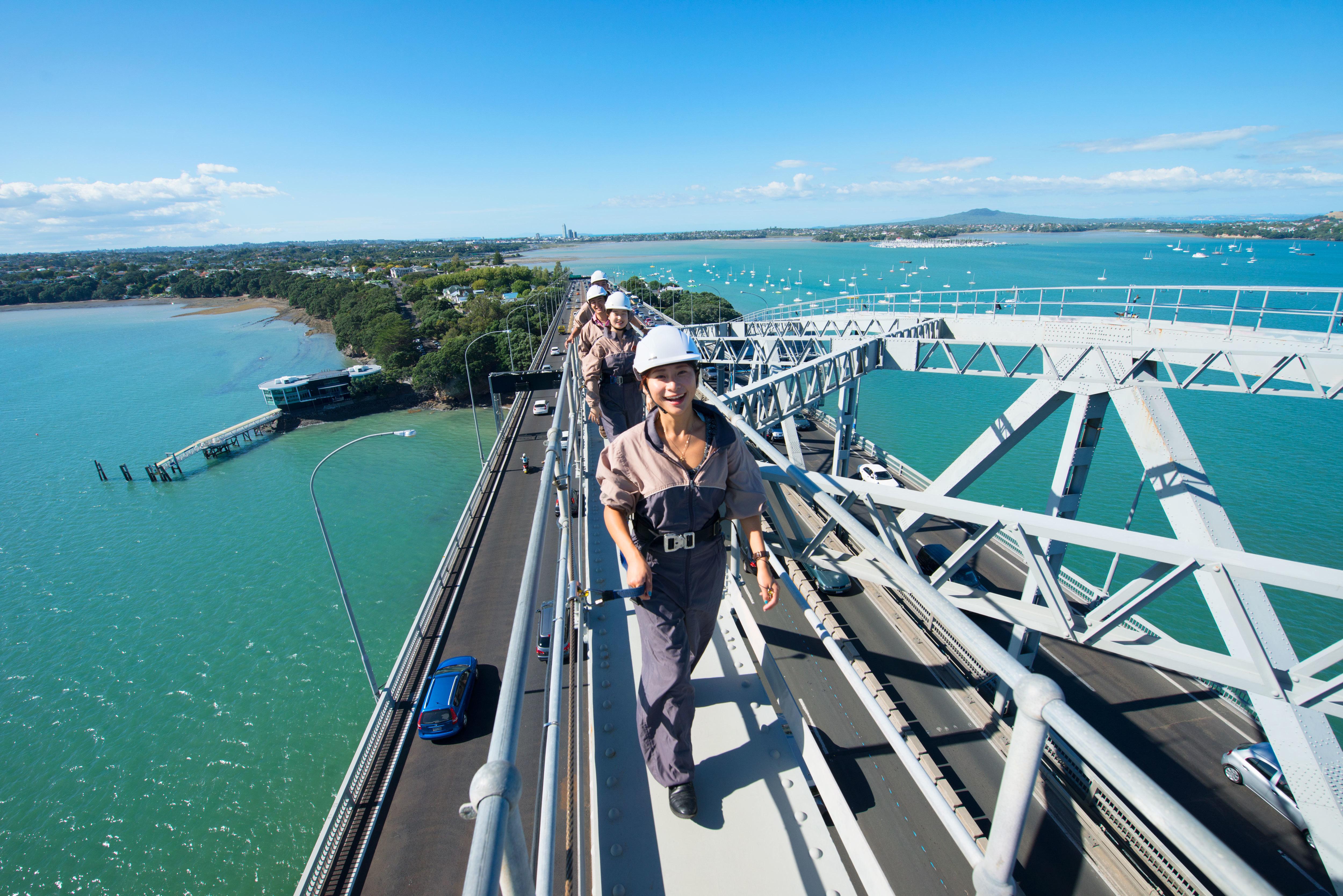 Auckland Harbour Bridge Summit Climb