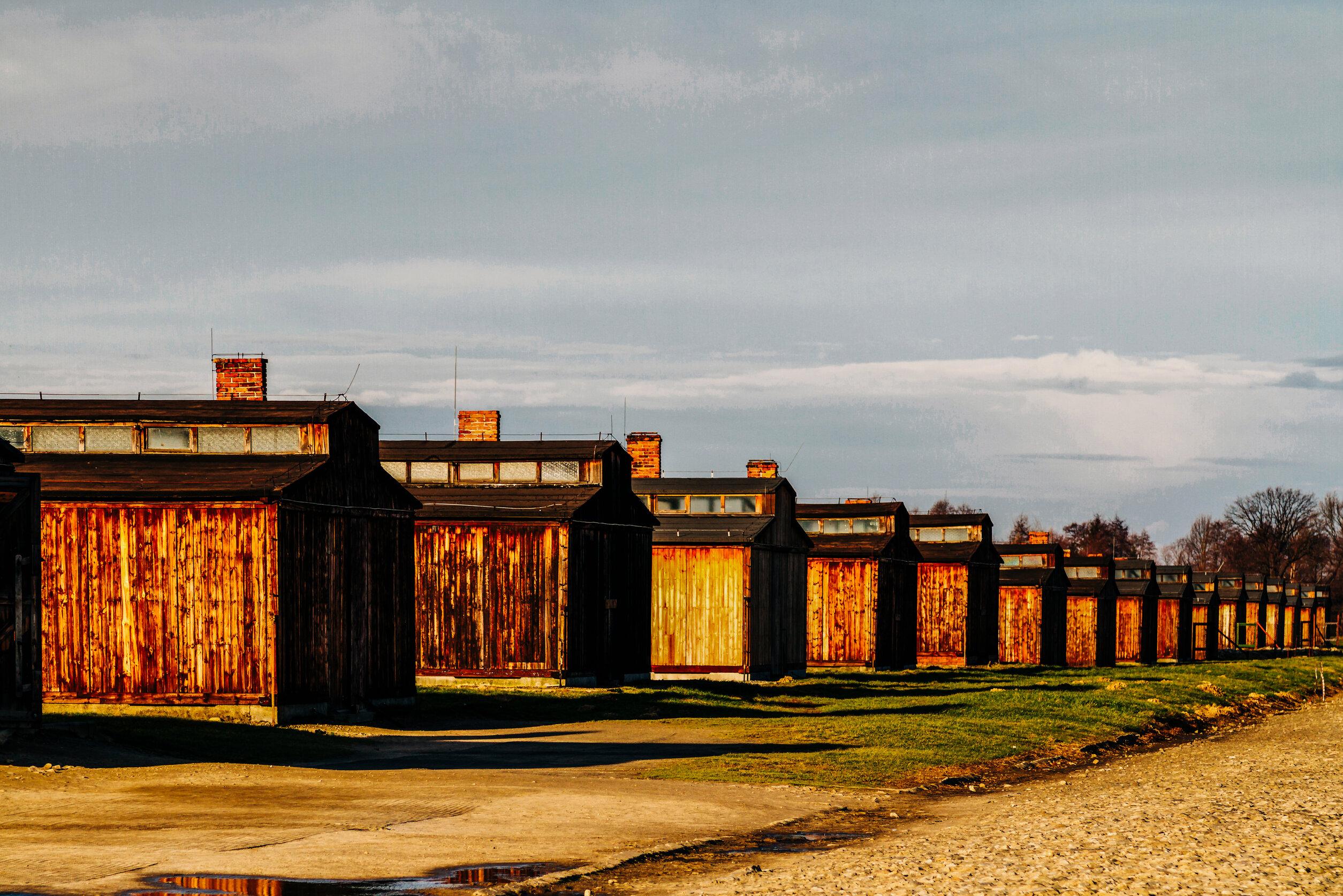 Kraków: Auschwitz-Birkenau and Wieliczka Salt Mine Day Trip