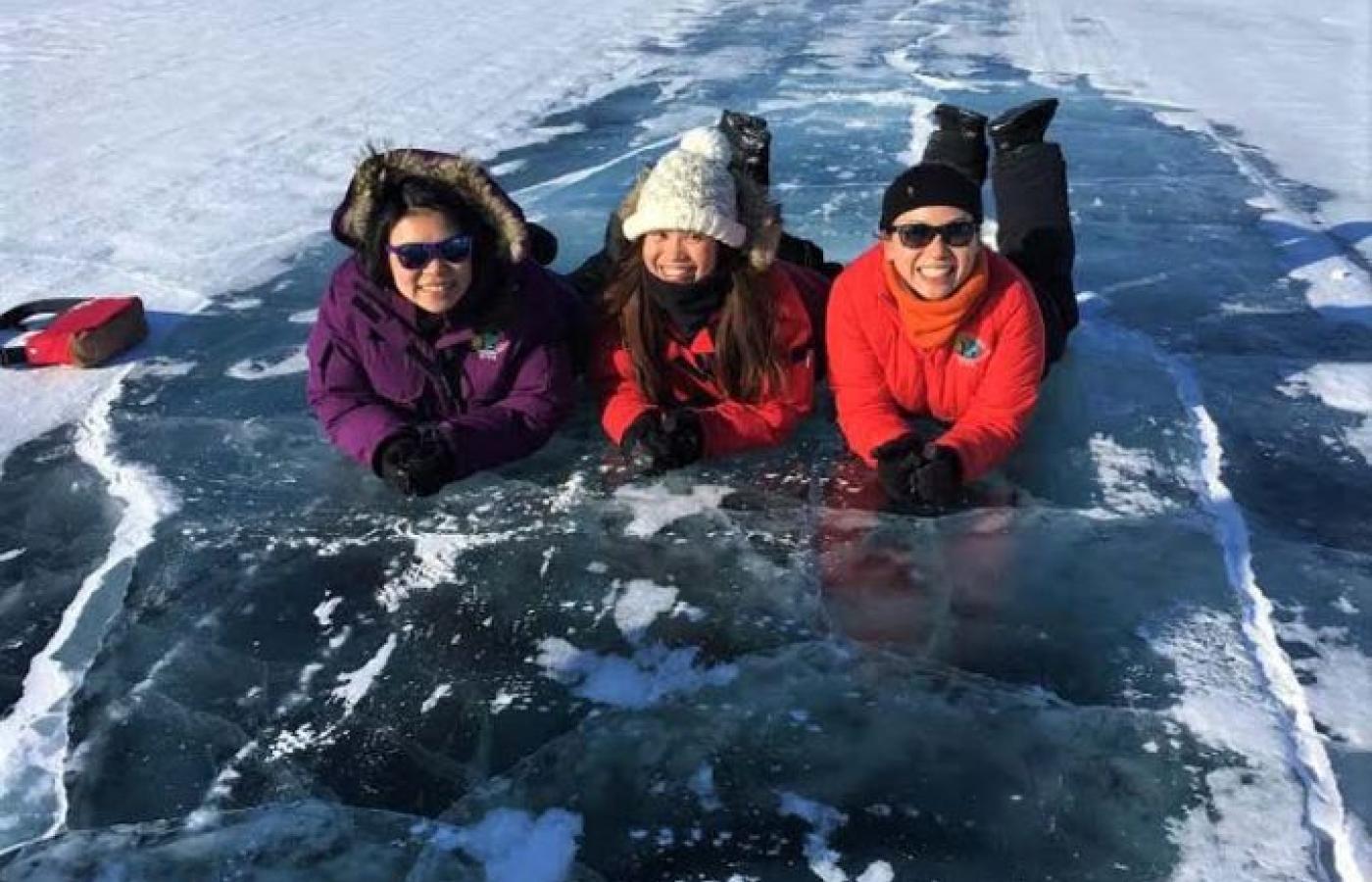 Calgary: Icefield Adventure, Skywalk and three Glaciers Tour - 2026 (Verified Reviews)