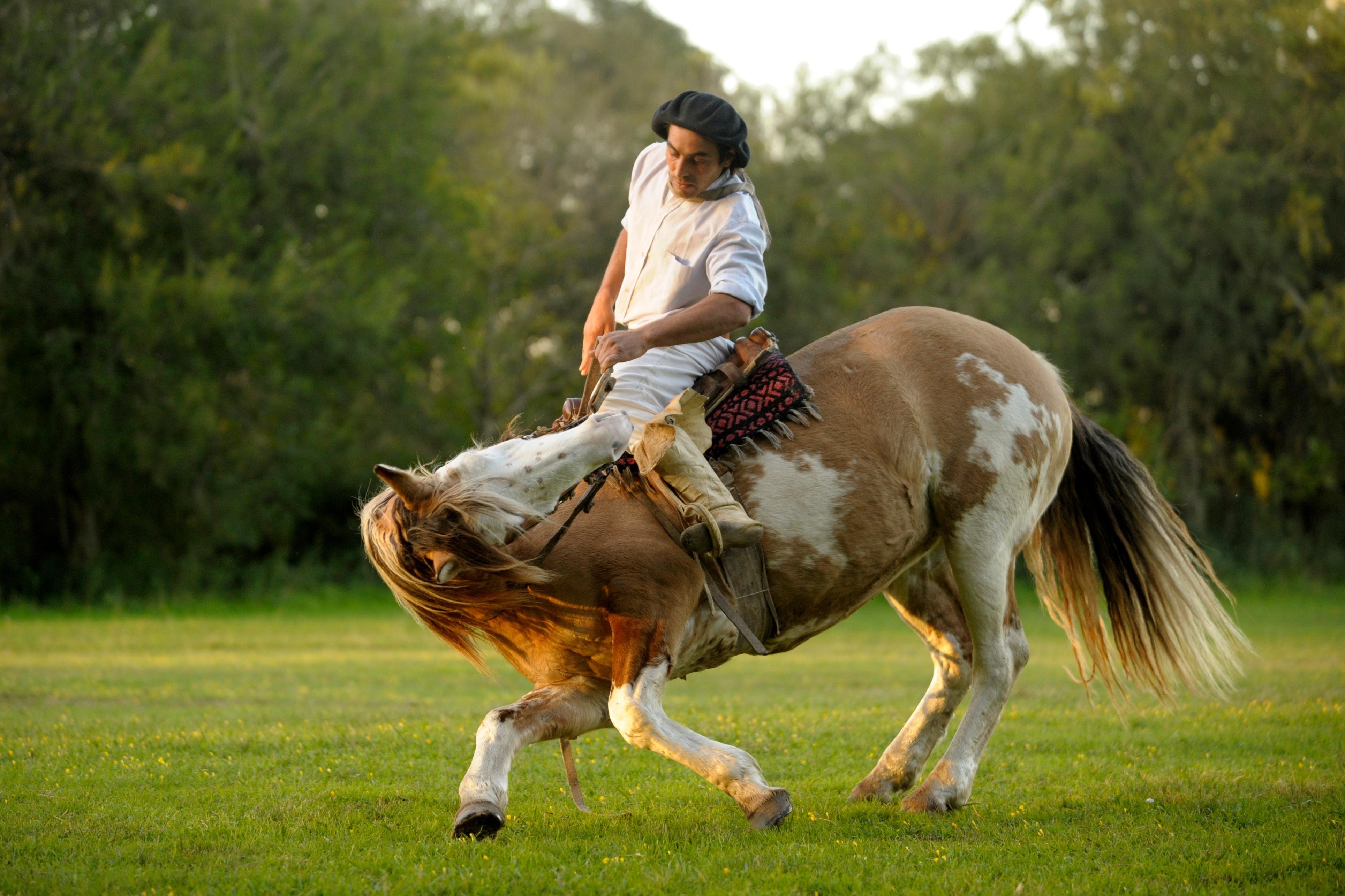 Buenos Aires to San Antonio de Areco: Full-Day Gaucho Experience