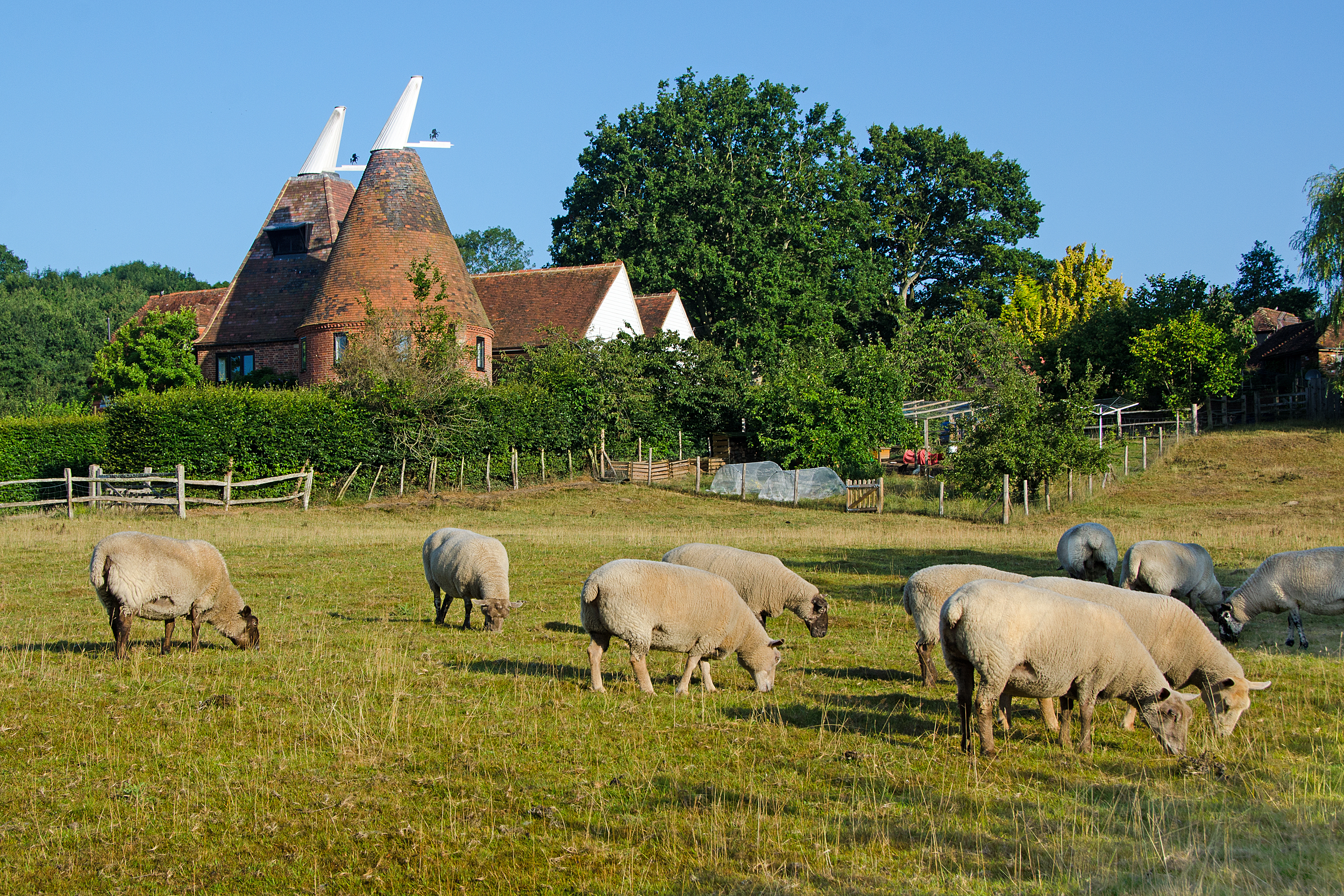 Small Group Kent, Dover & Canterbury Day Trip from London