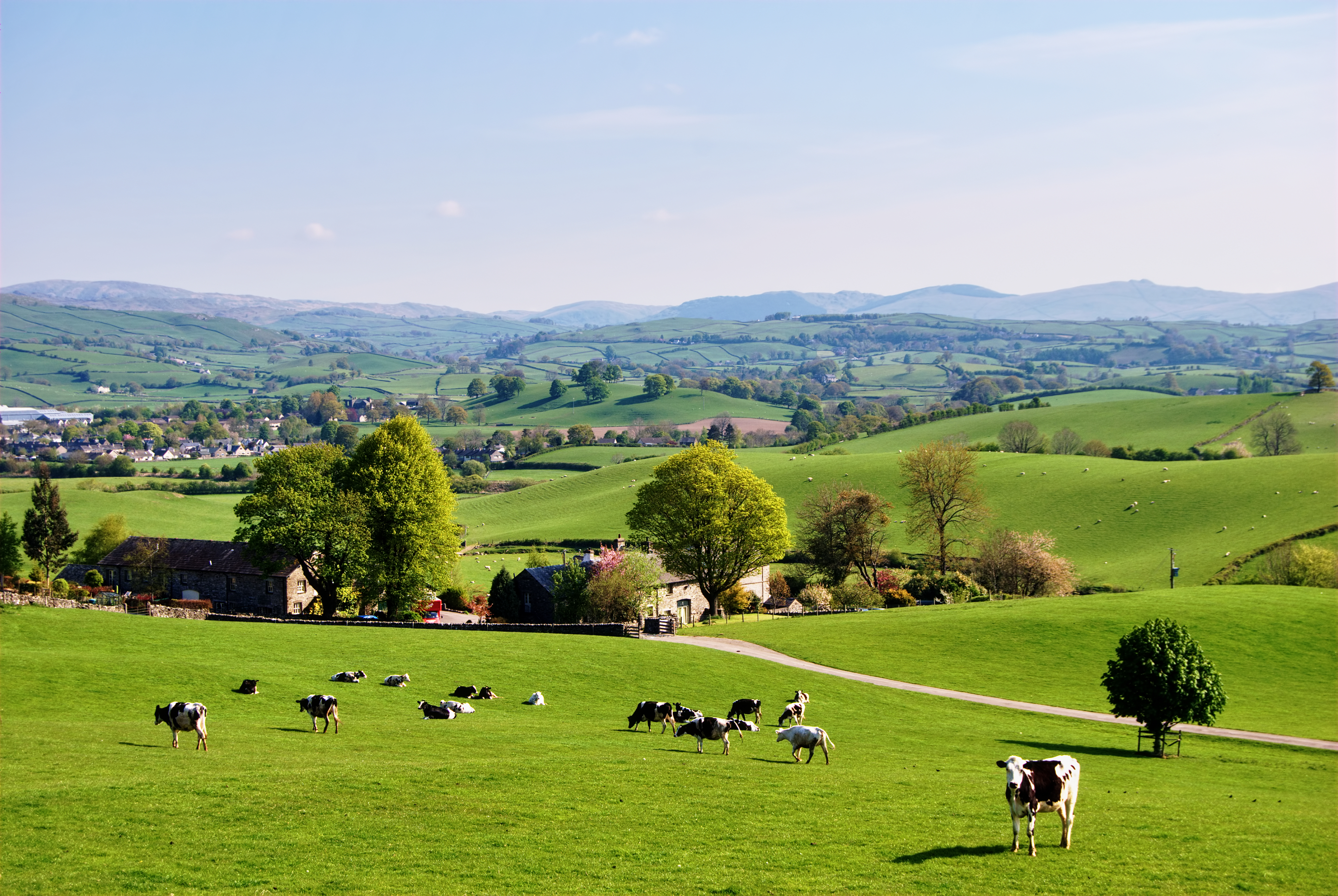 Small Group Kent, Dover & Canterbury Day Trip from London