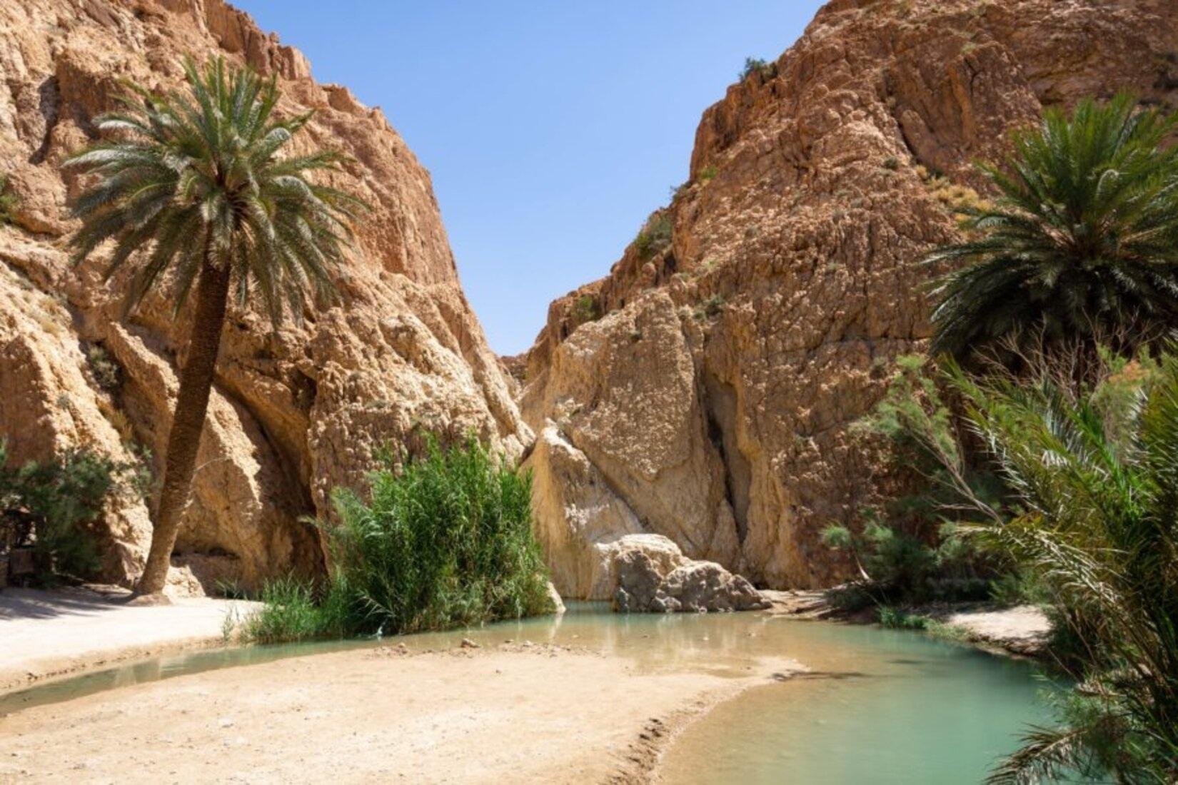 2-Day Desert Safari: Roman Ruins, Oasis Springs & Star Wars Sites