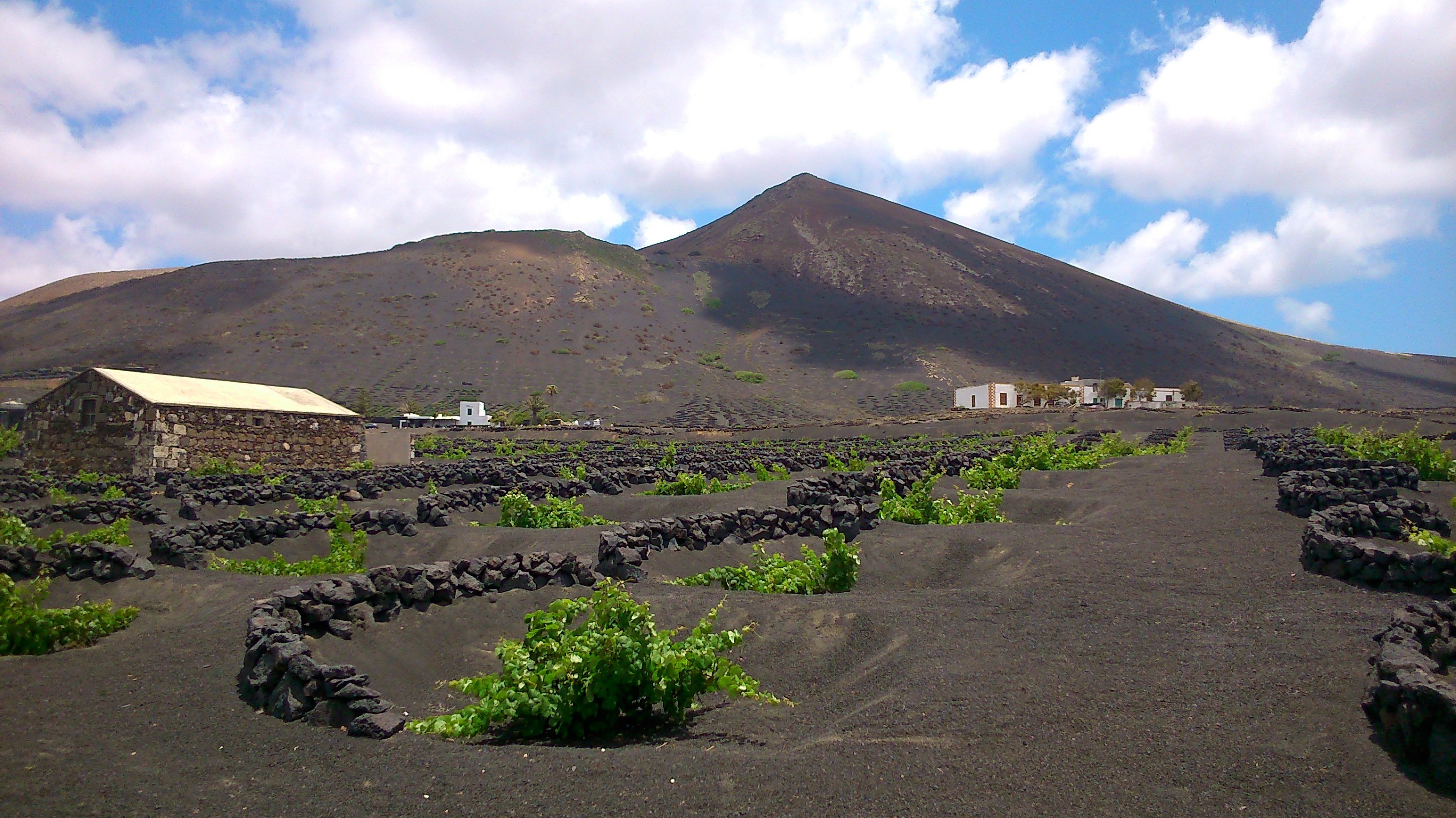 La Geria Volcano Vineyards Hiking Tour