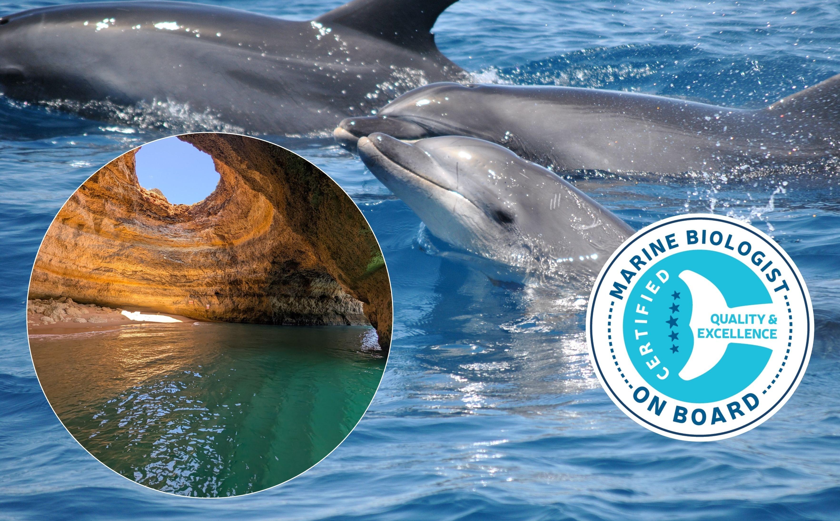 Lagos Dolphin Watching & Benagil Cave Combo Tour