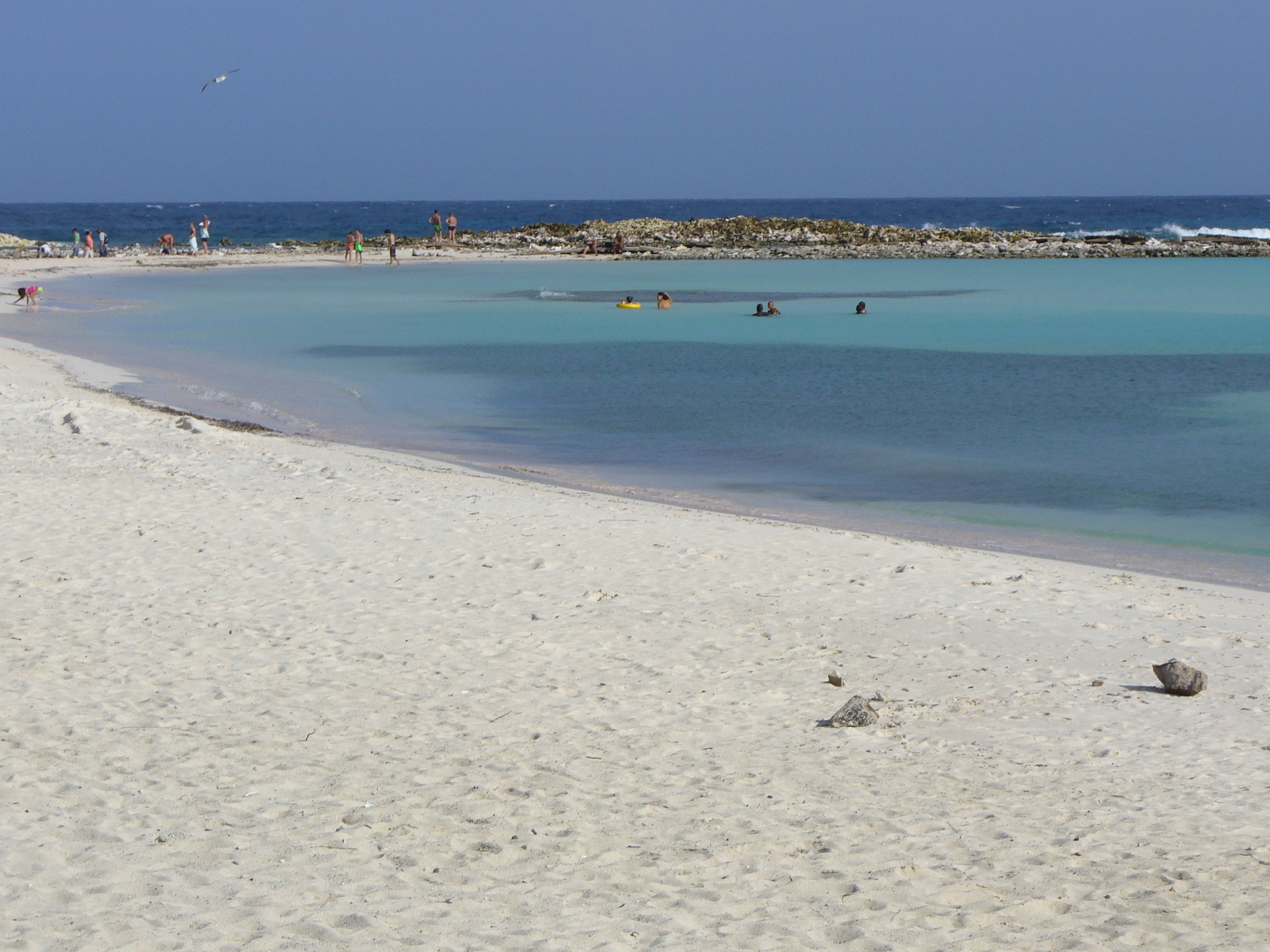 Caribbean Snorkeling & Beach Adventure