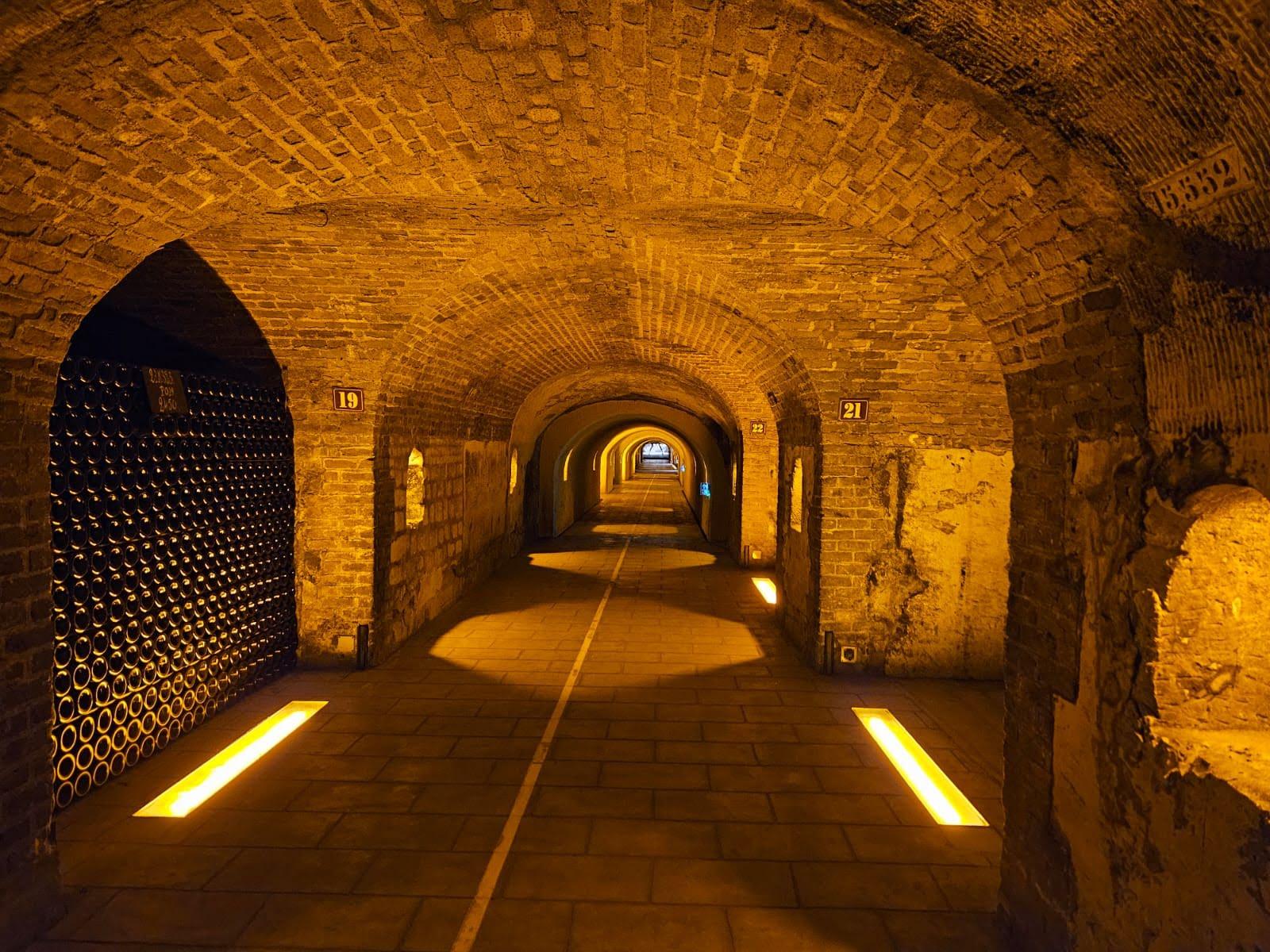 Moet et Chandon Tasting and Fun Private Tour in Champagne