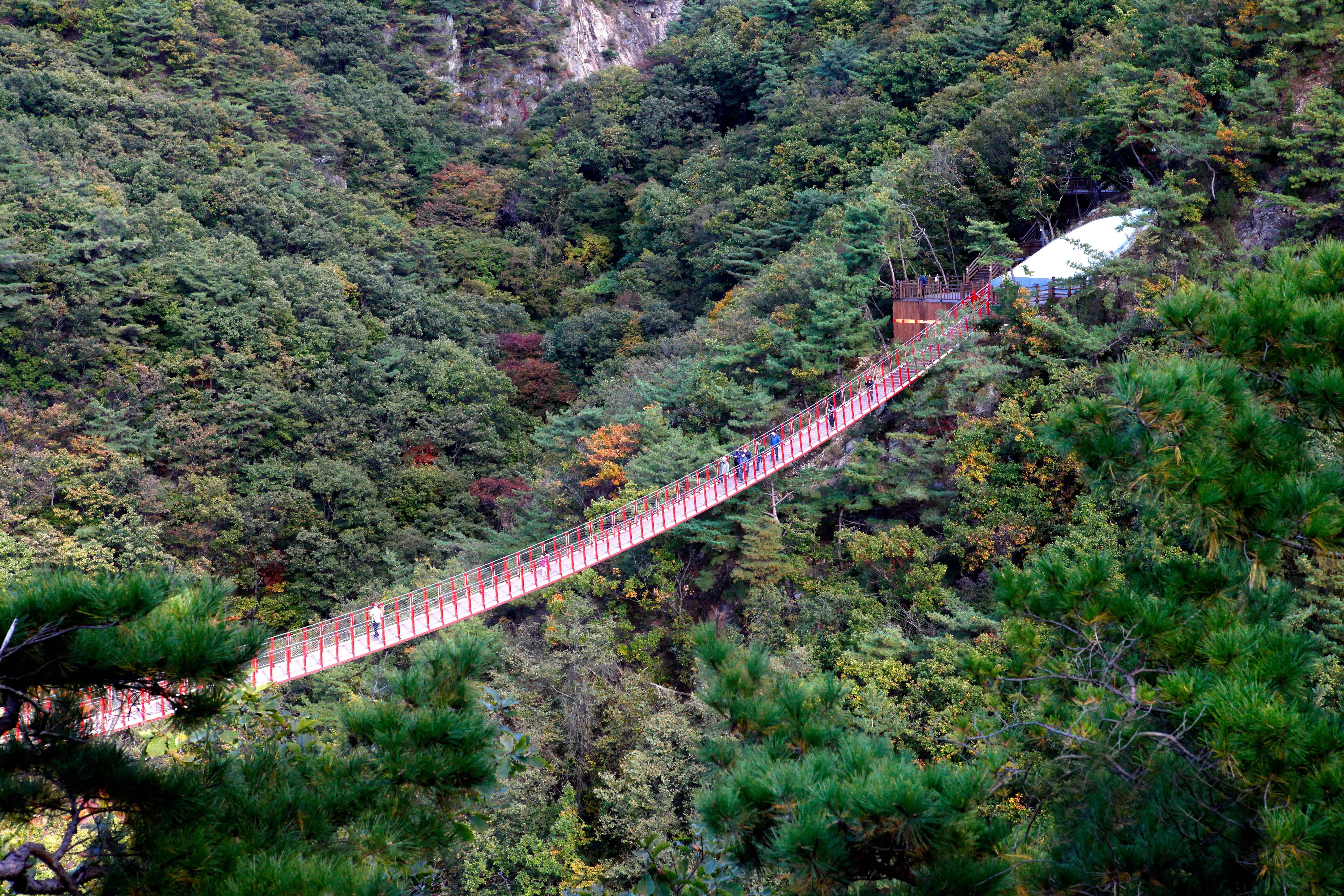 Seoul DMZ Tour: 3rd Infiltration Tunnel & Gamak Suspension Bridge