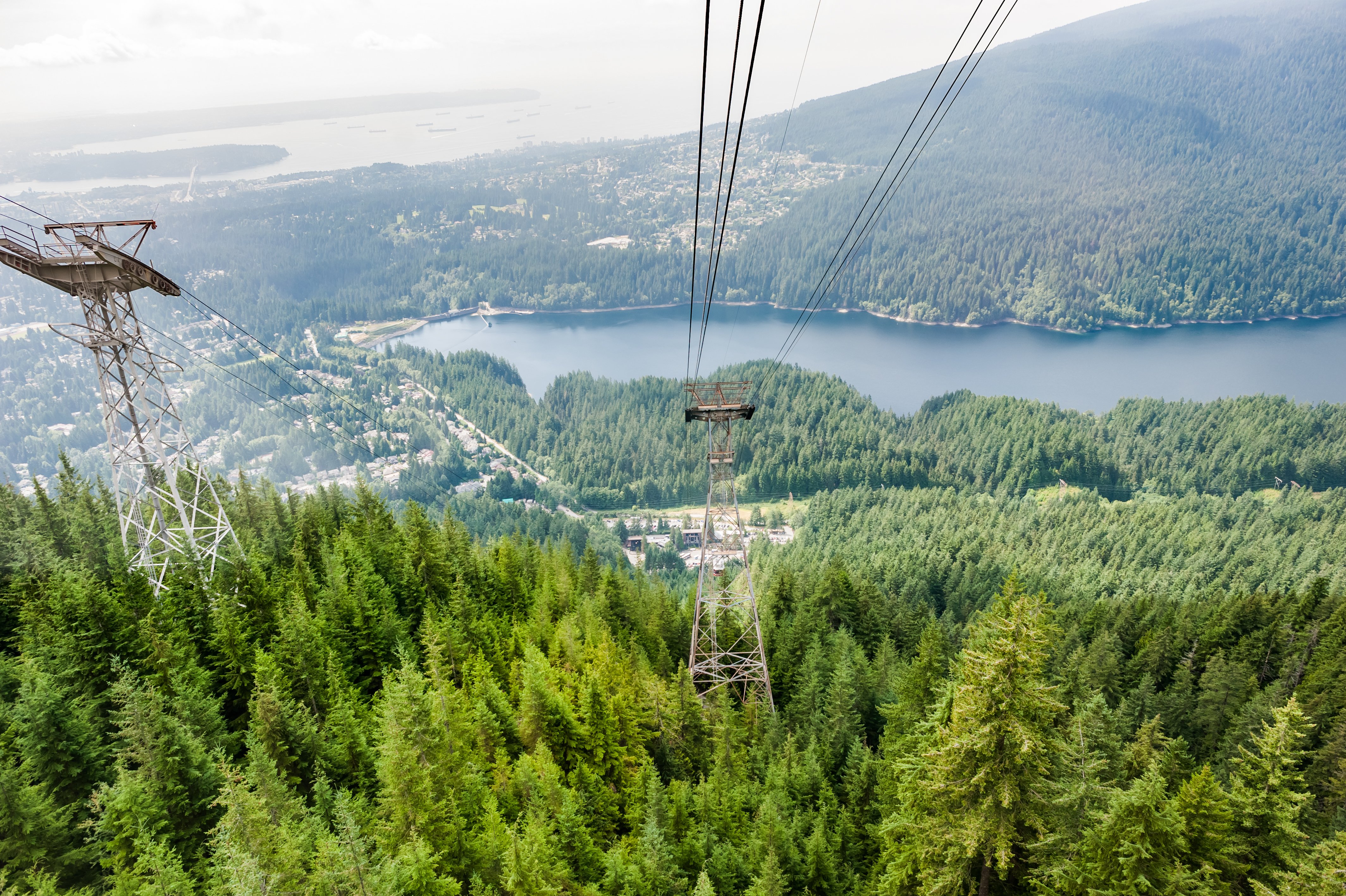 Vancouver North Shore Discovery: Grouse Mountain & Capilano Bridge