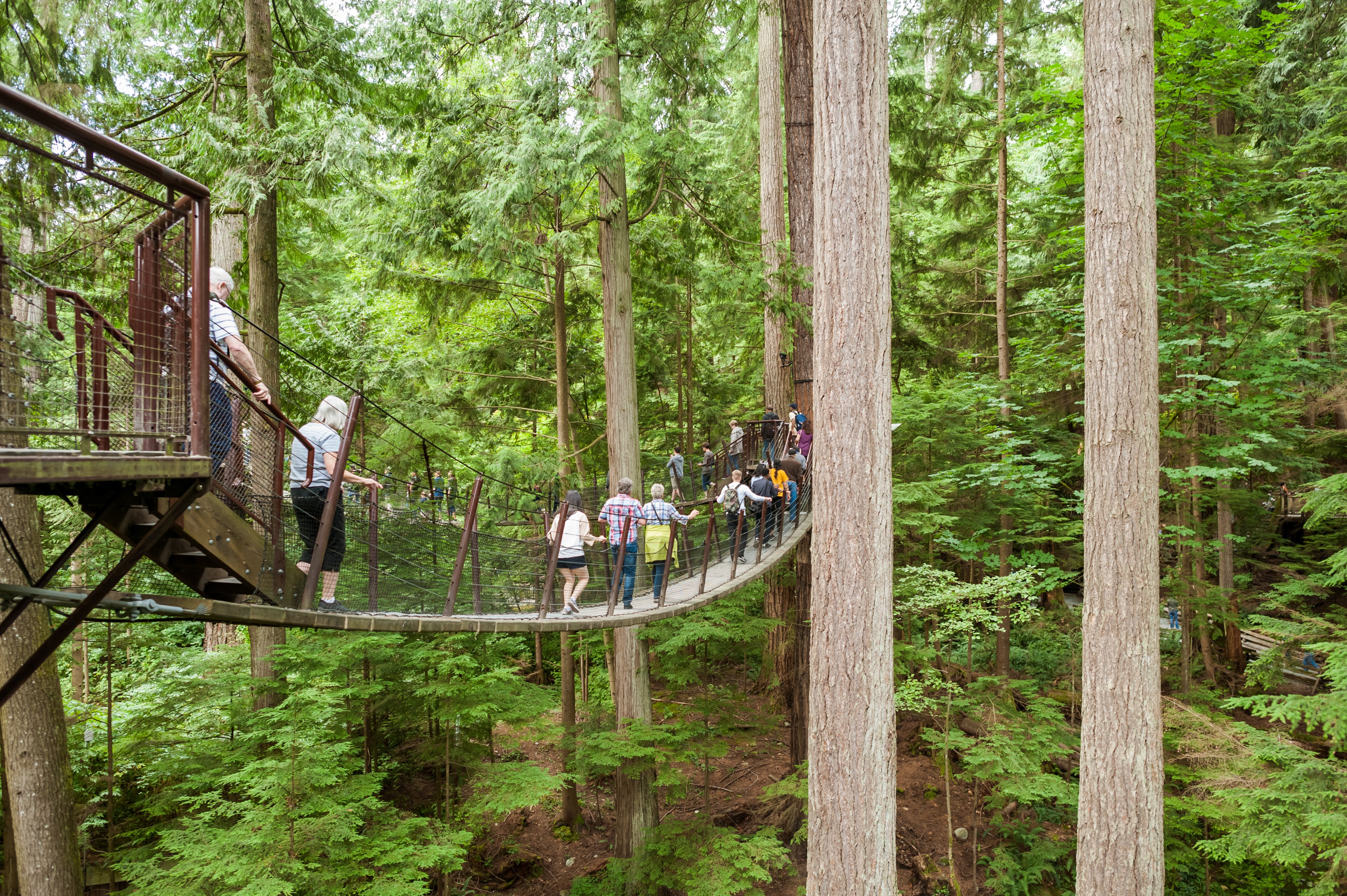 Vancouver North Shore Discovery: Grouse Mountain & Capilano Bridge