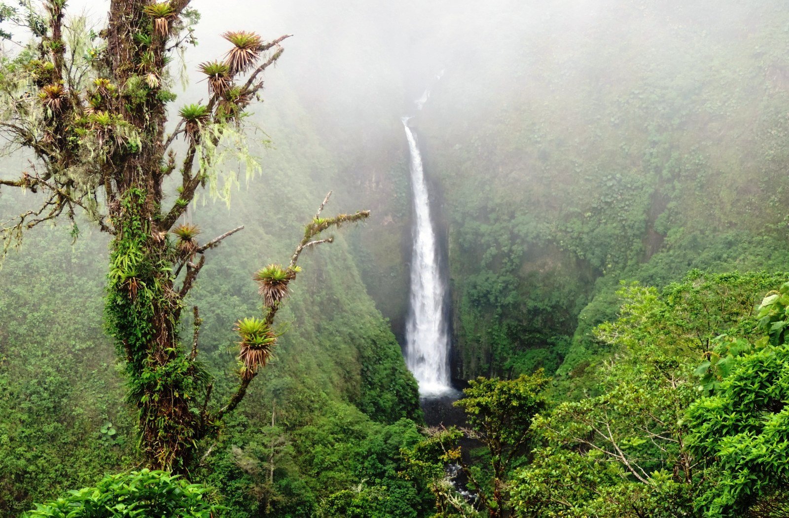 Arenal Volcano, Hot Springs & Zip Line Day Trip from San José