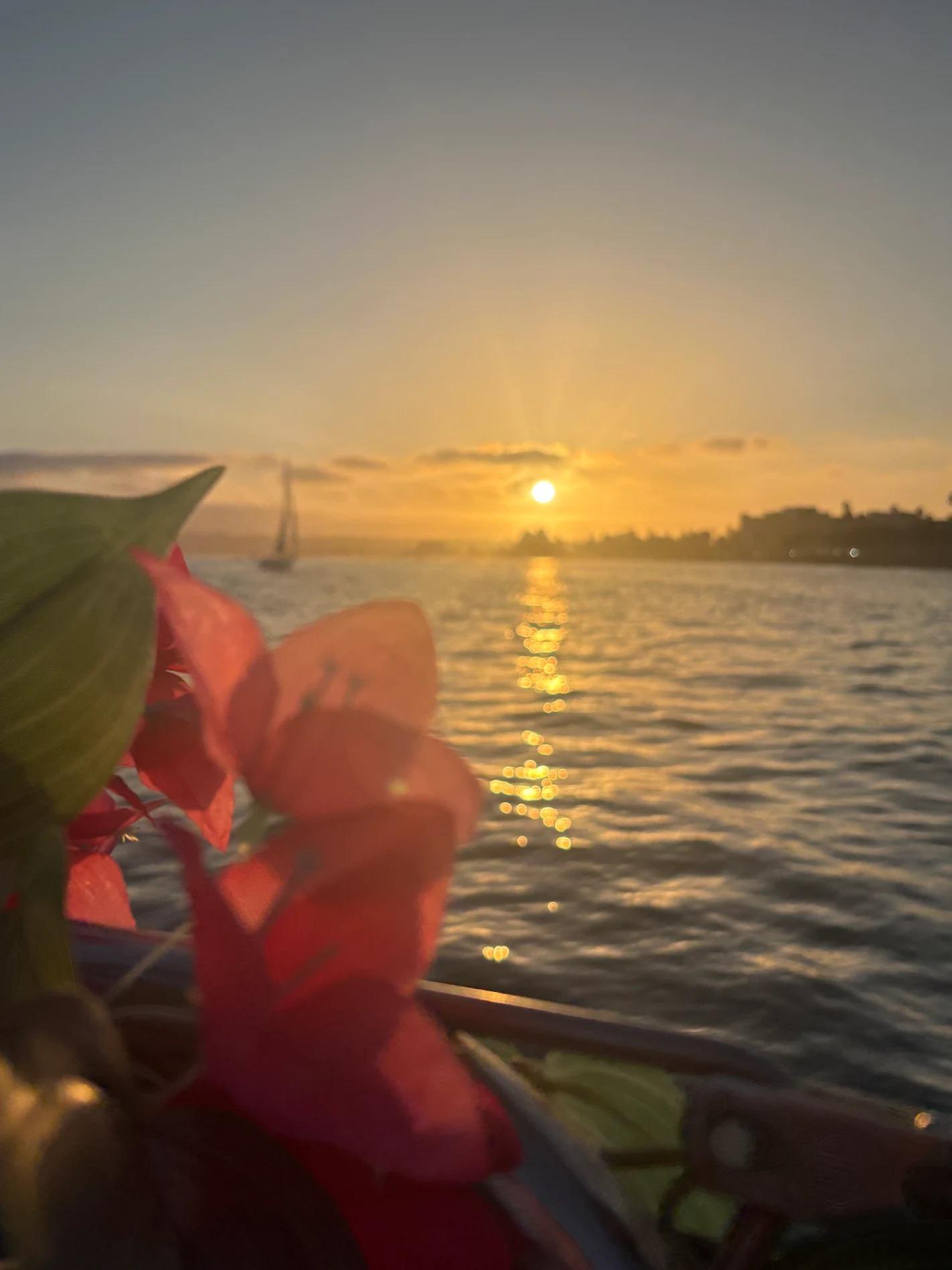 San Diego: Private Sunset Sailing Tour for up to 12 Guests