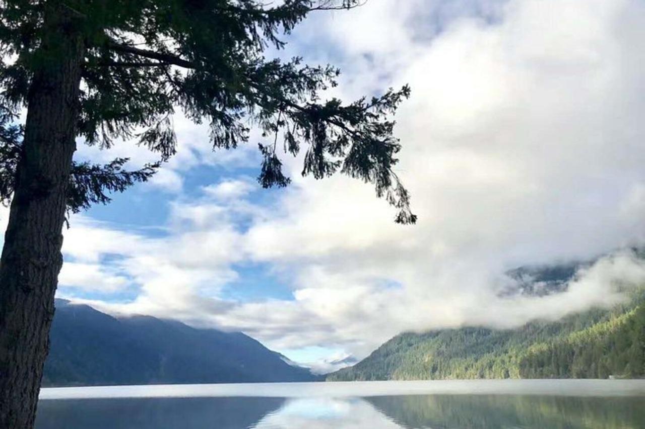 Olympic National Park Small Group Day Tour with Bainbridge Ferry