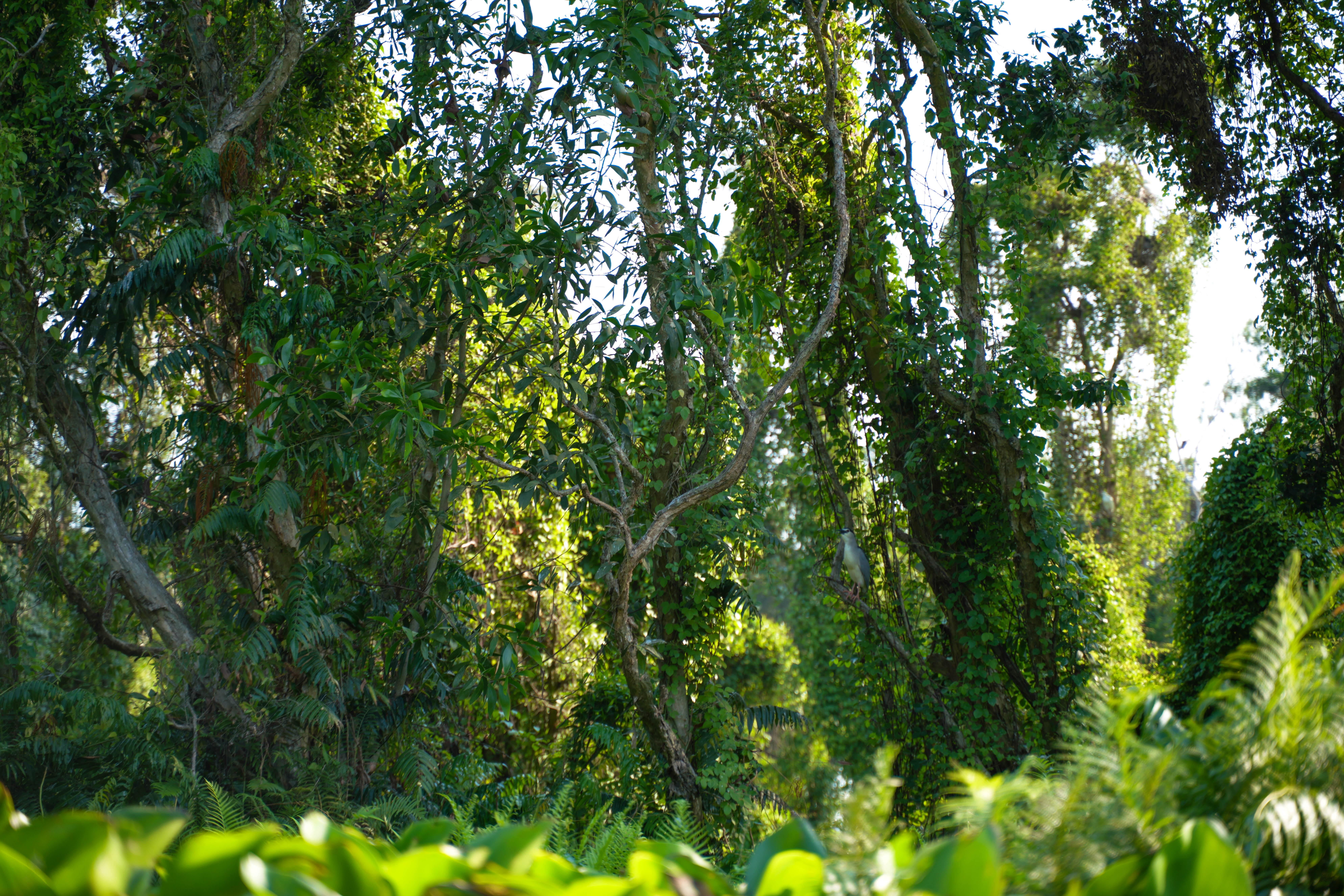 3-Day Mekong Delta Expedition: Ho Chi Minh to Phnom Penh