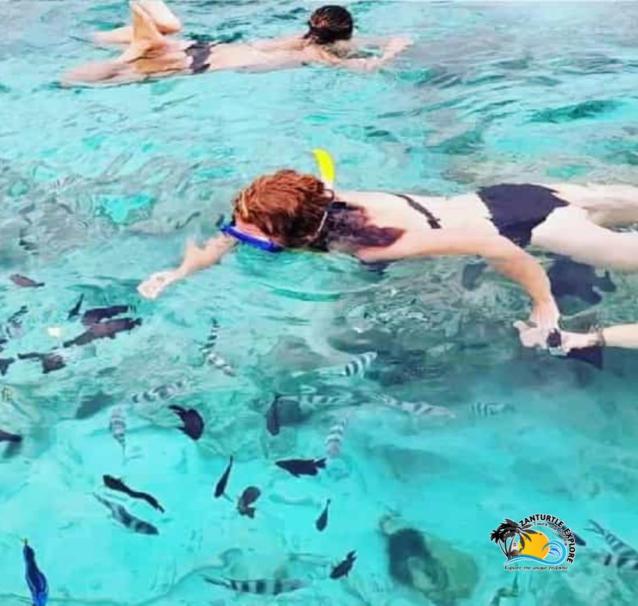 Private Zanzibar Blue Lagoon & Starfish Beach Excursion
