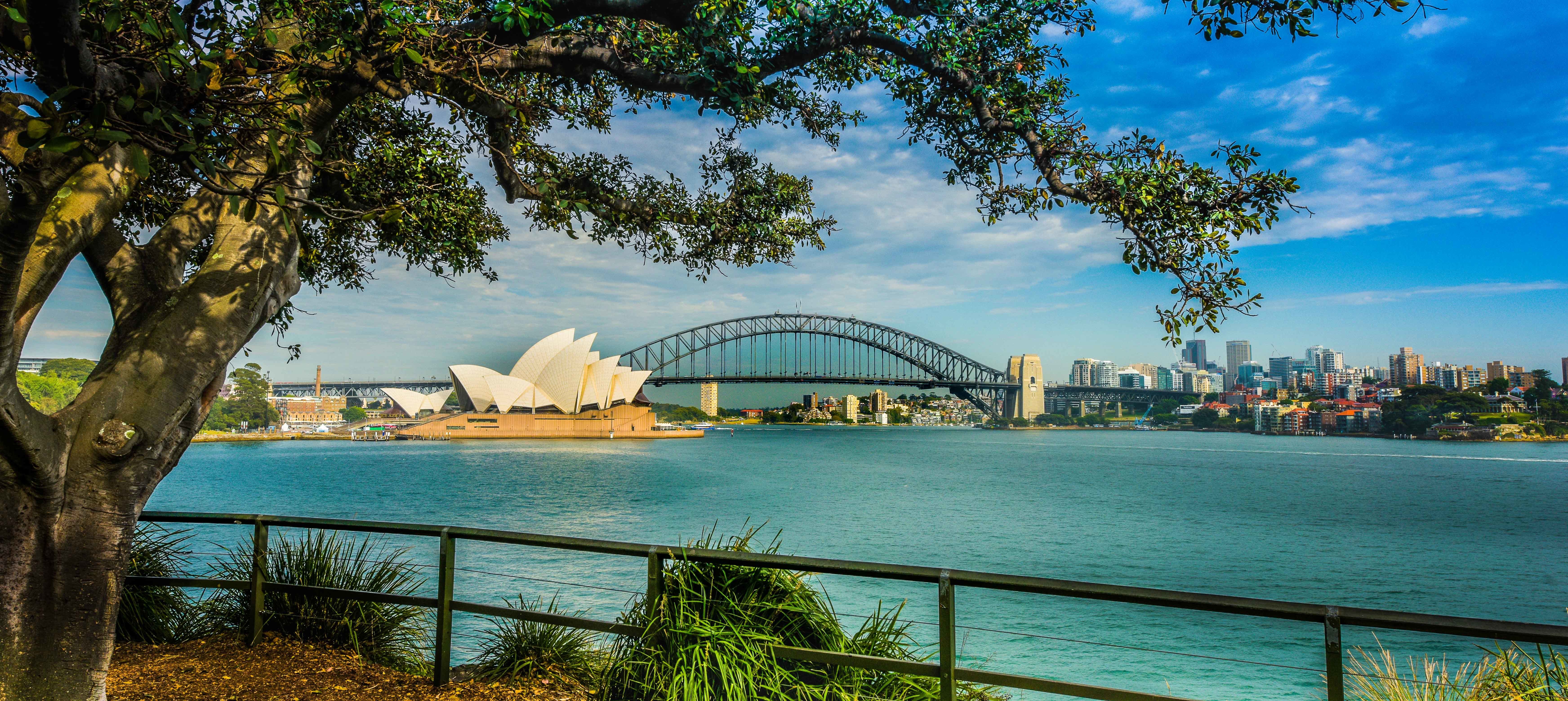 Sydney Harbour to Bondi Beach Half-Day Tour