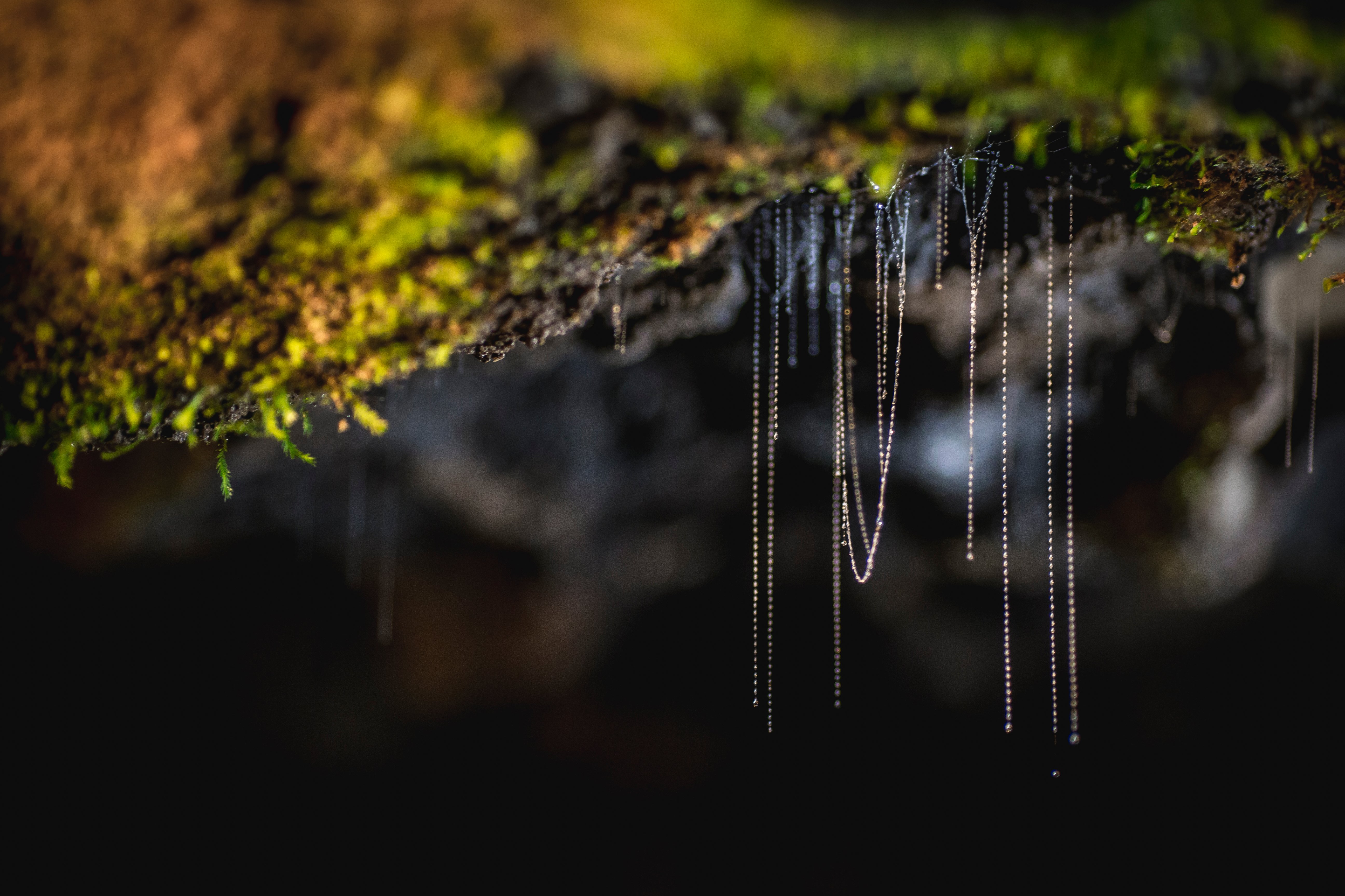 Te Anau Glowworm Caves tour in Fiordland — image 5