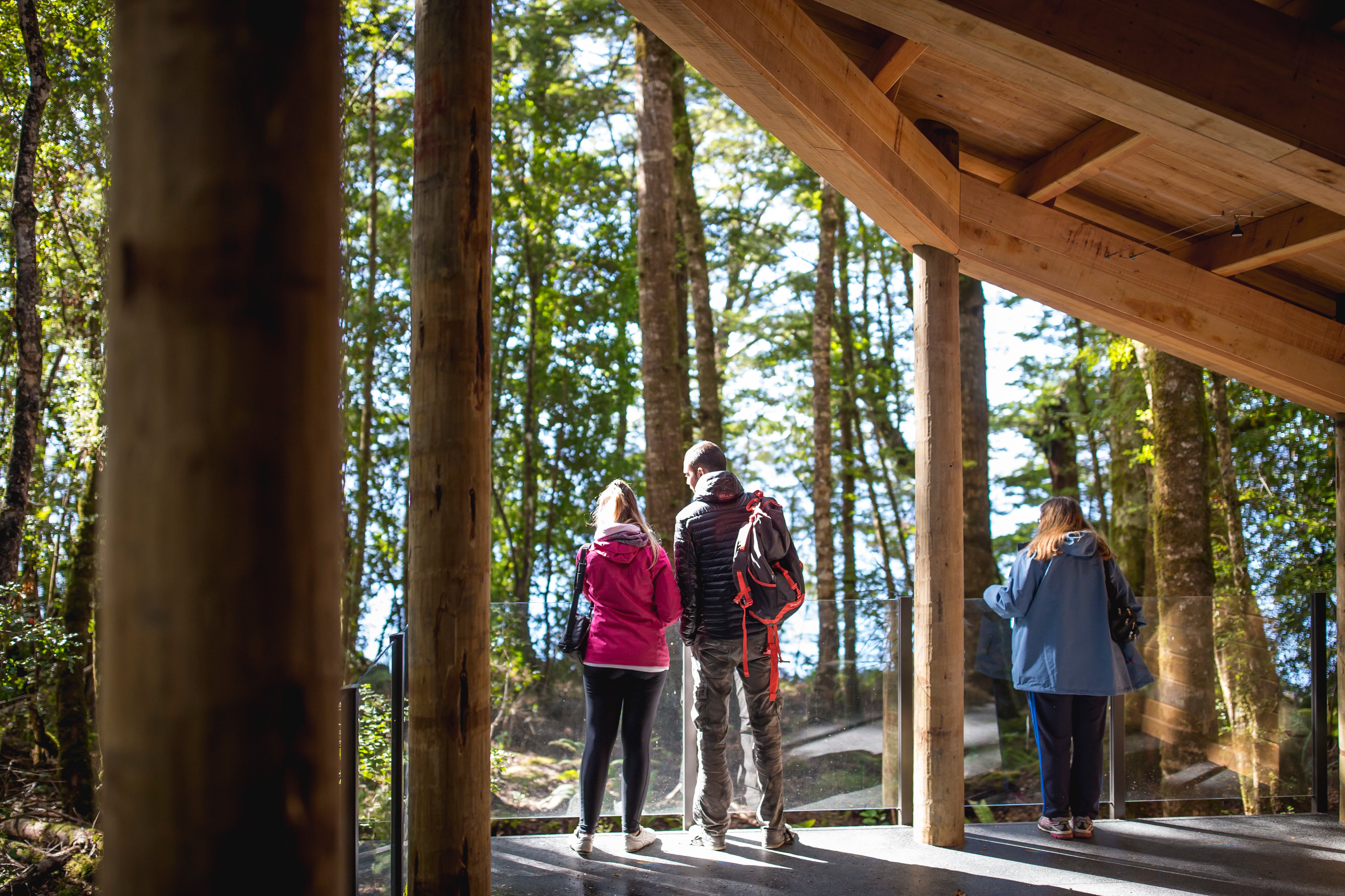 Te Anau Glowworm Caves tour in Fiordland — image 7