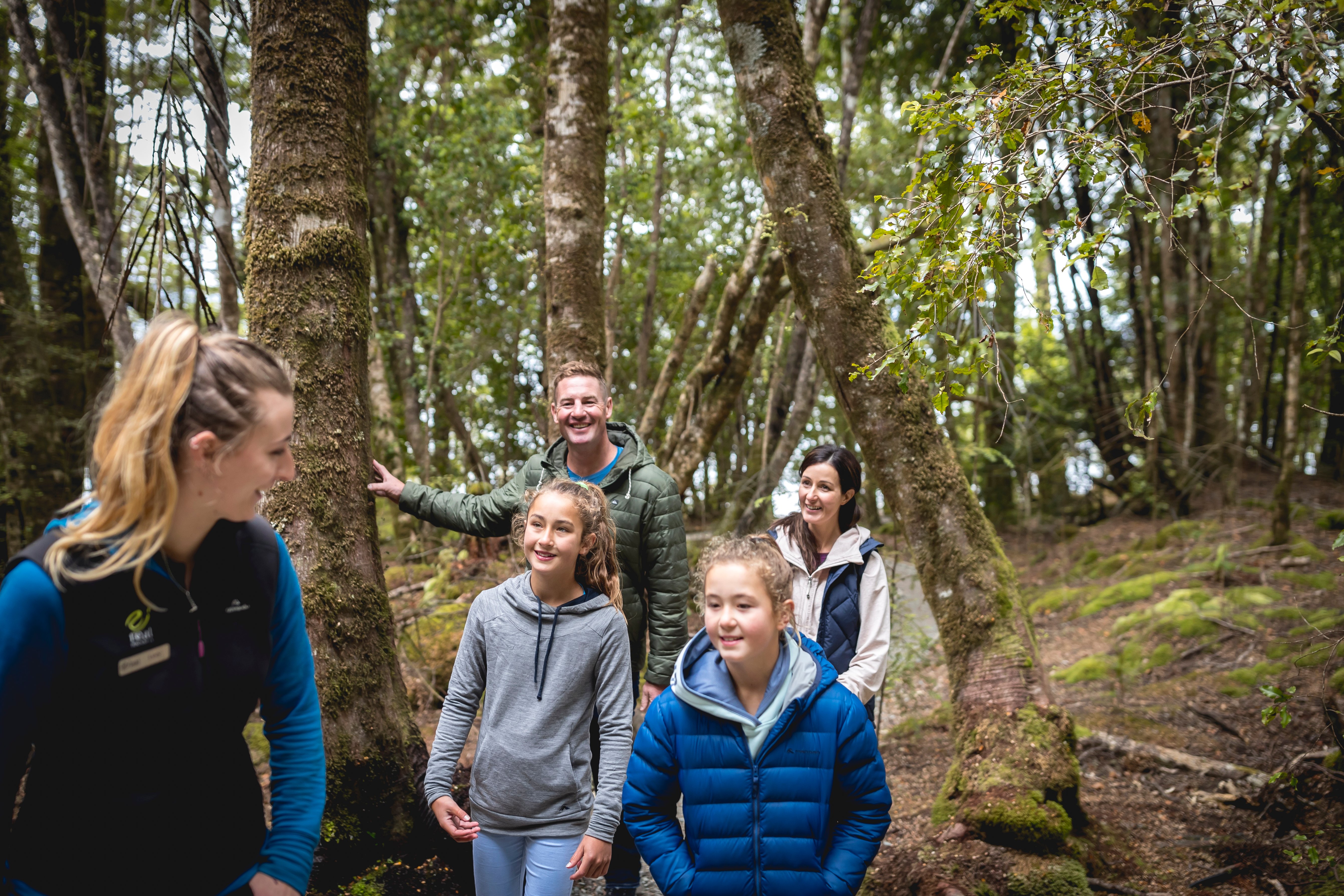 Te Anau Glowworm Caves tour in Fiordland — image 6