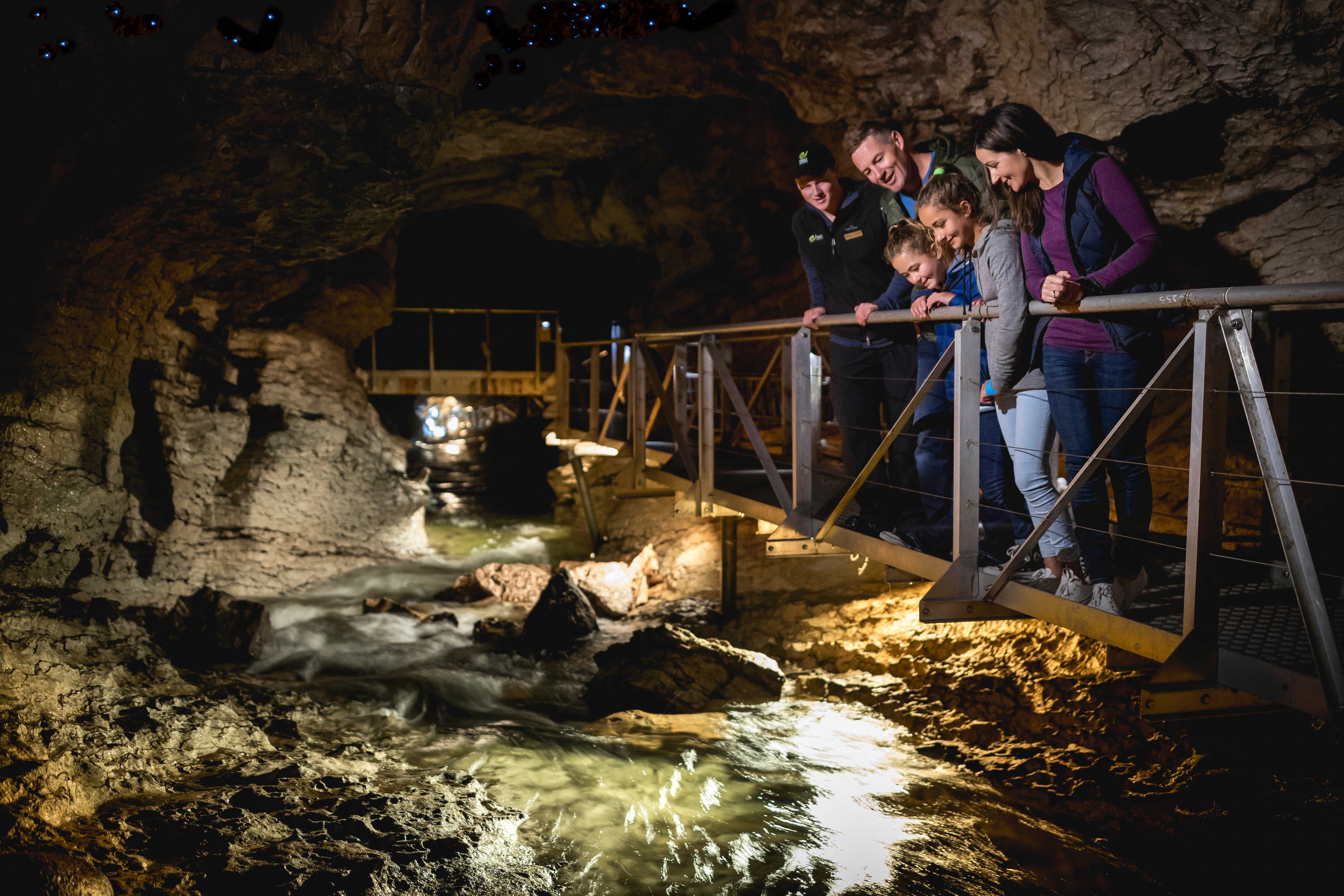Te Anau Glowworm Caves tour in Fiordland — image 4