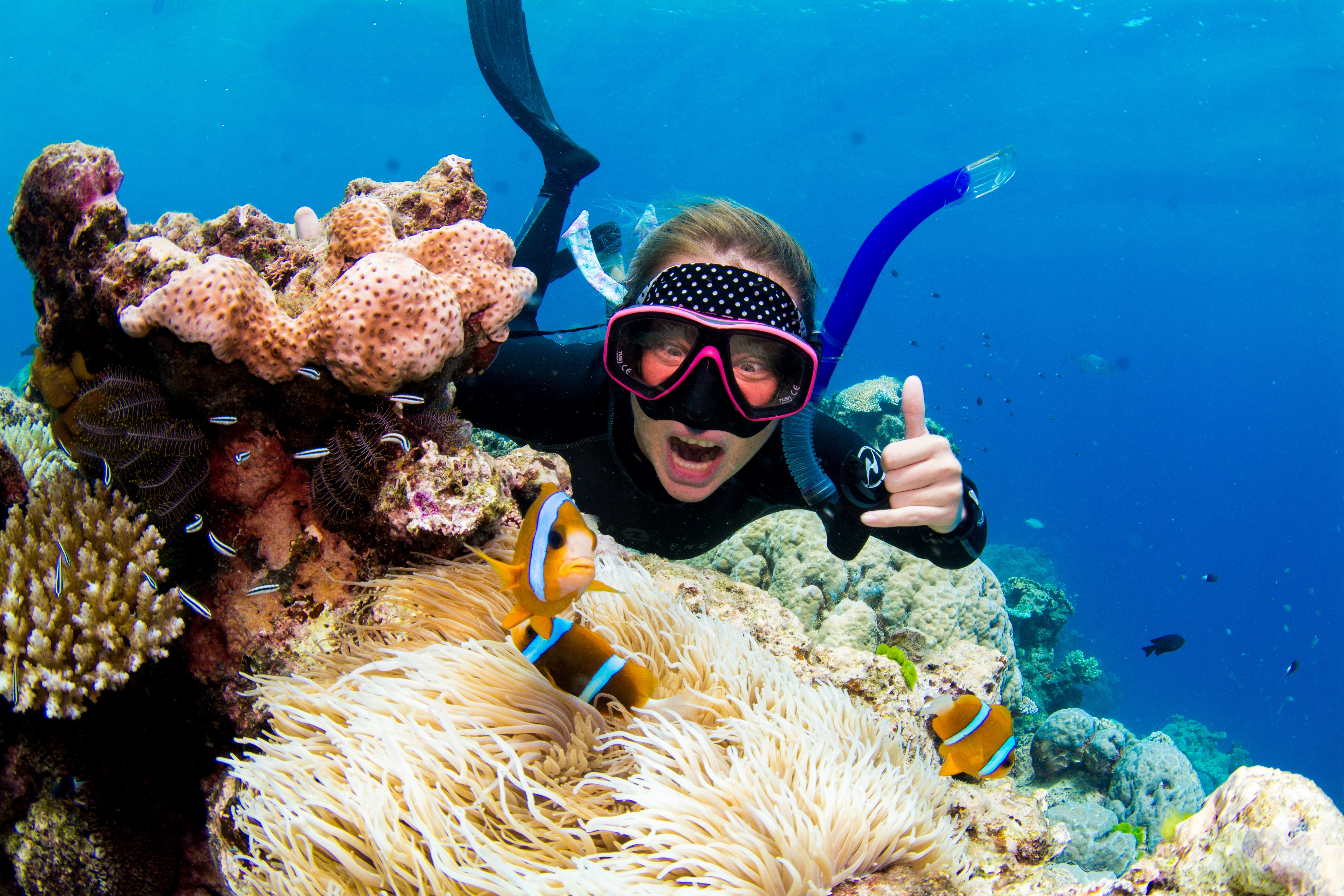 Great Barrier Reef Snorkel & Dive Adventure from Cairns