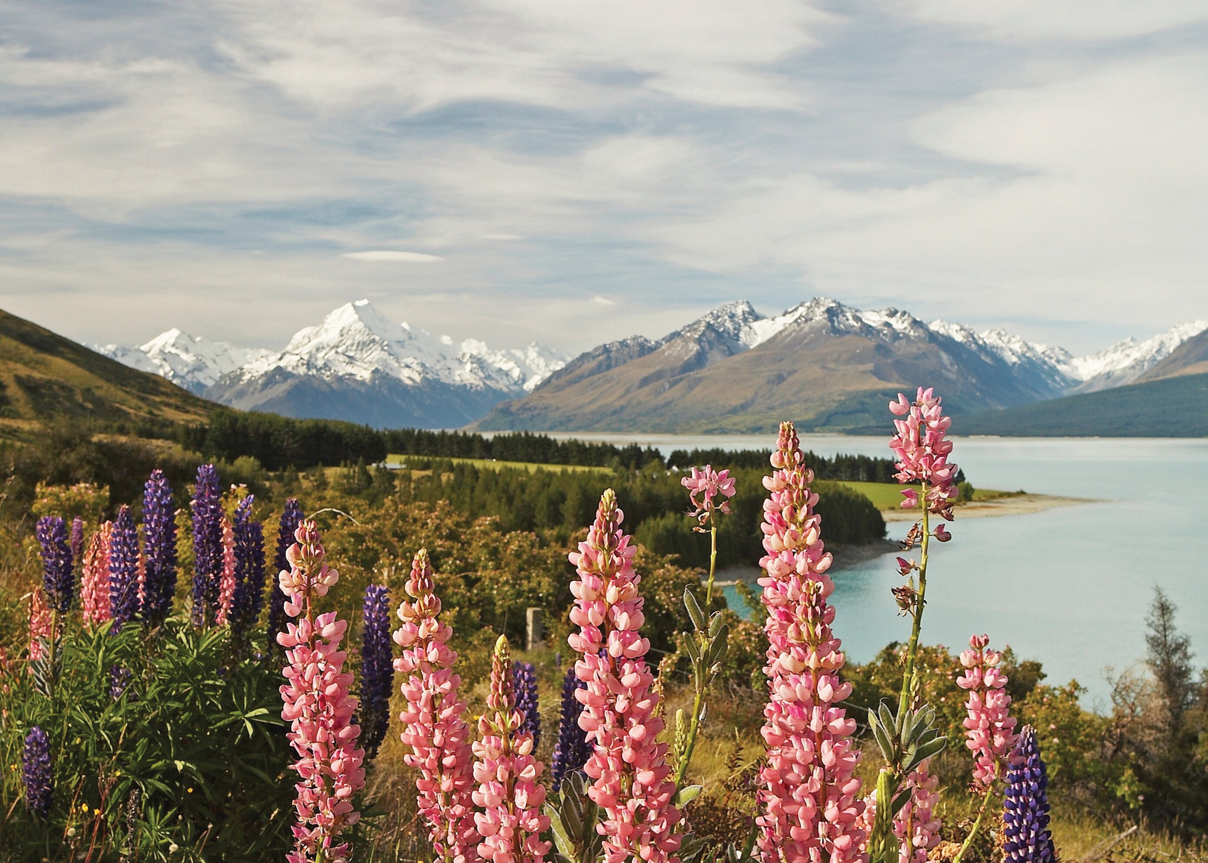 Christchurch to Queenstown via Mt. Cook