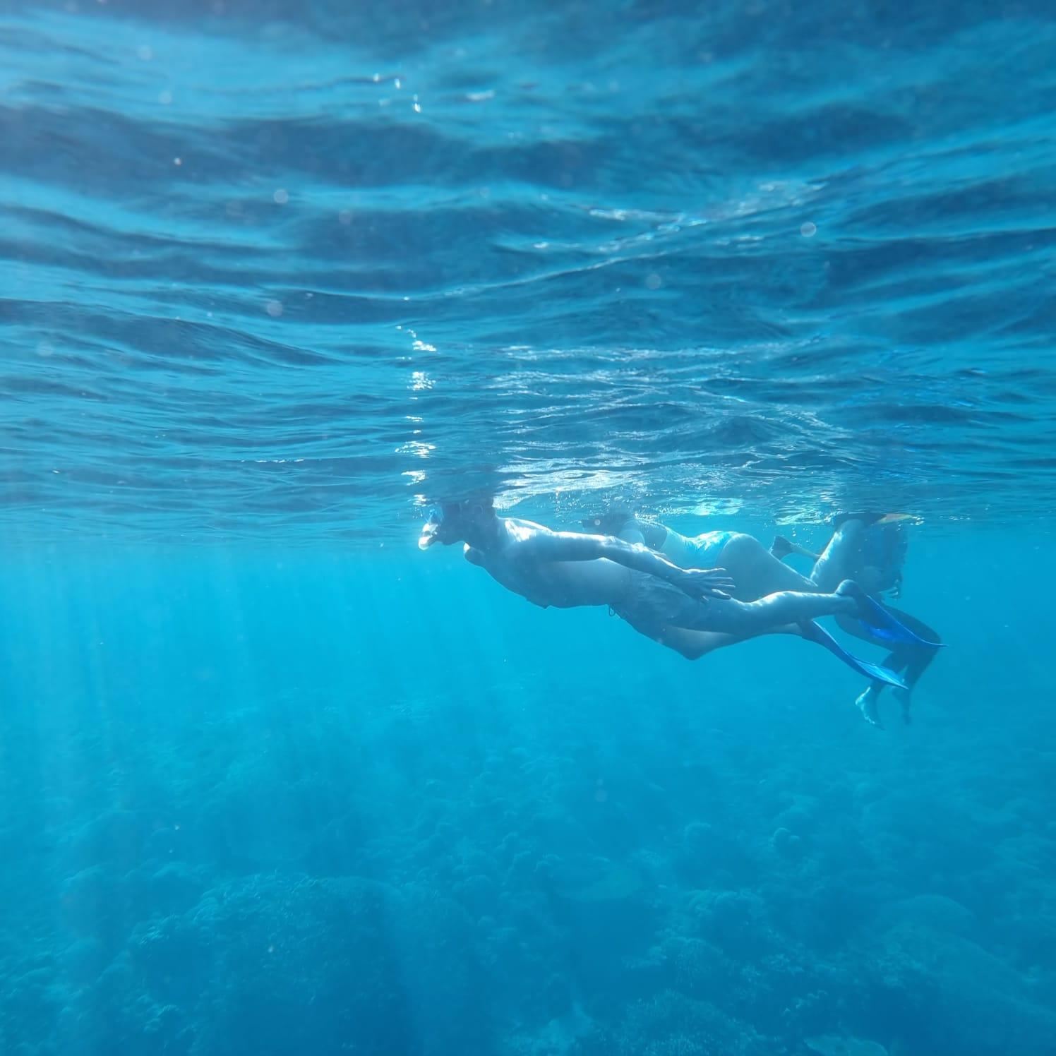 Labuan Bajo: 3-Day Komodo Island Phinisi Sailing Adventure