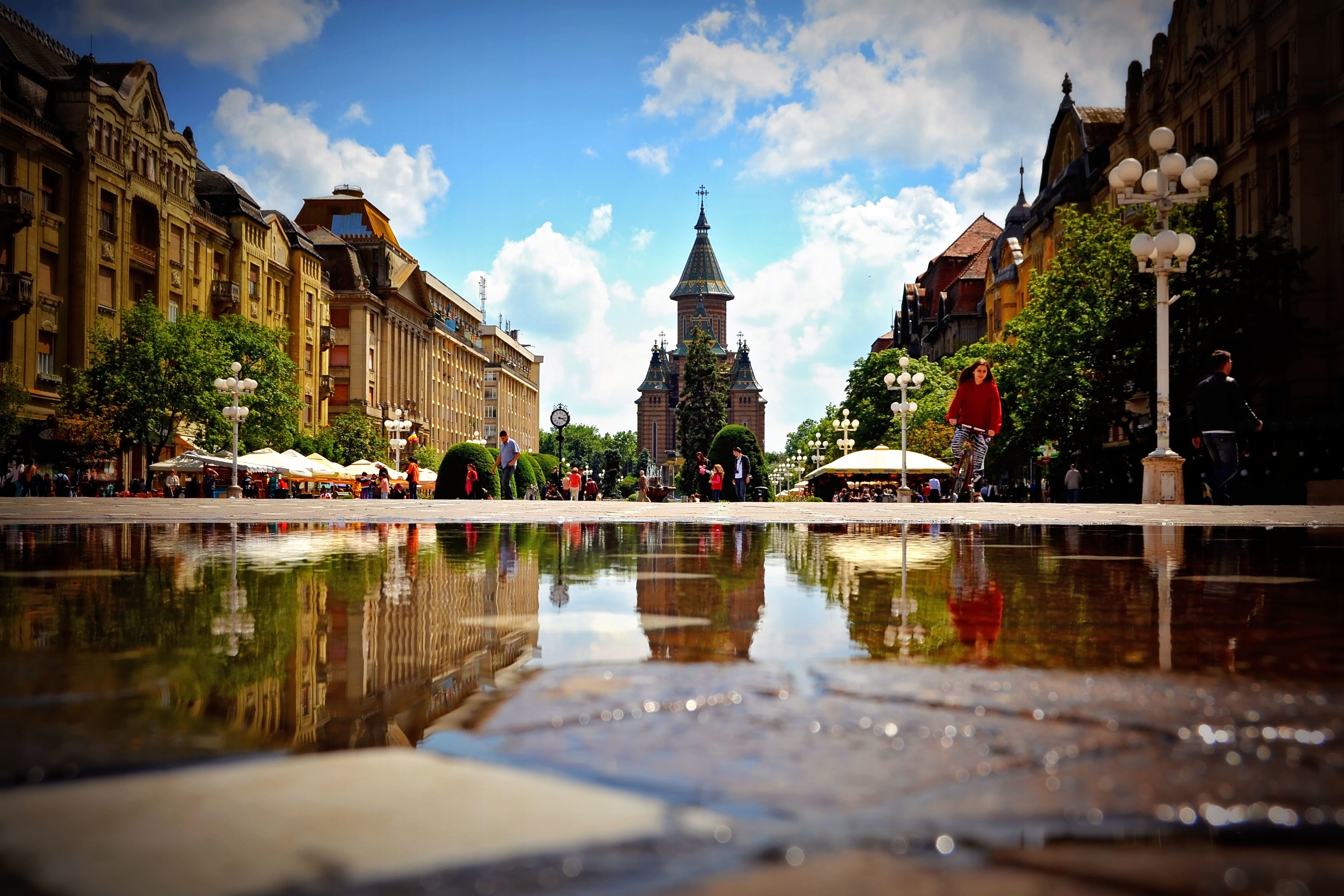 Private Timișoara Day Trip from Belgrade