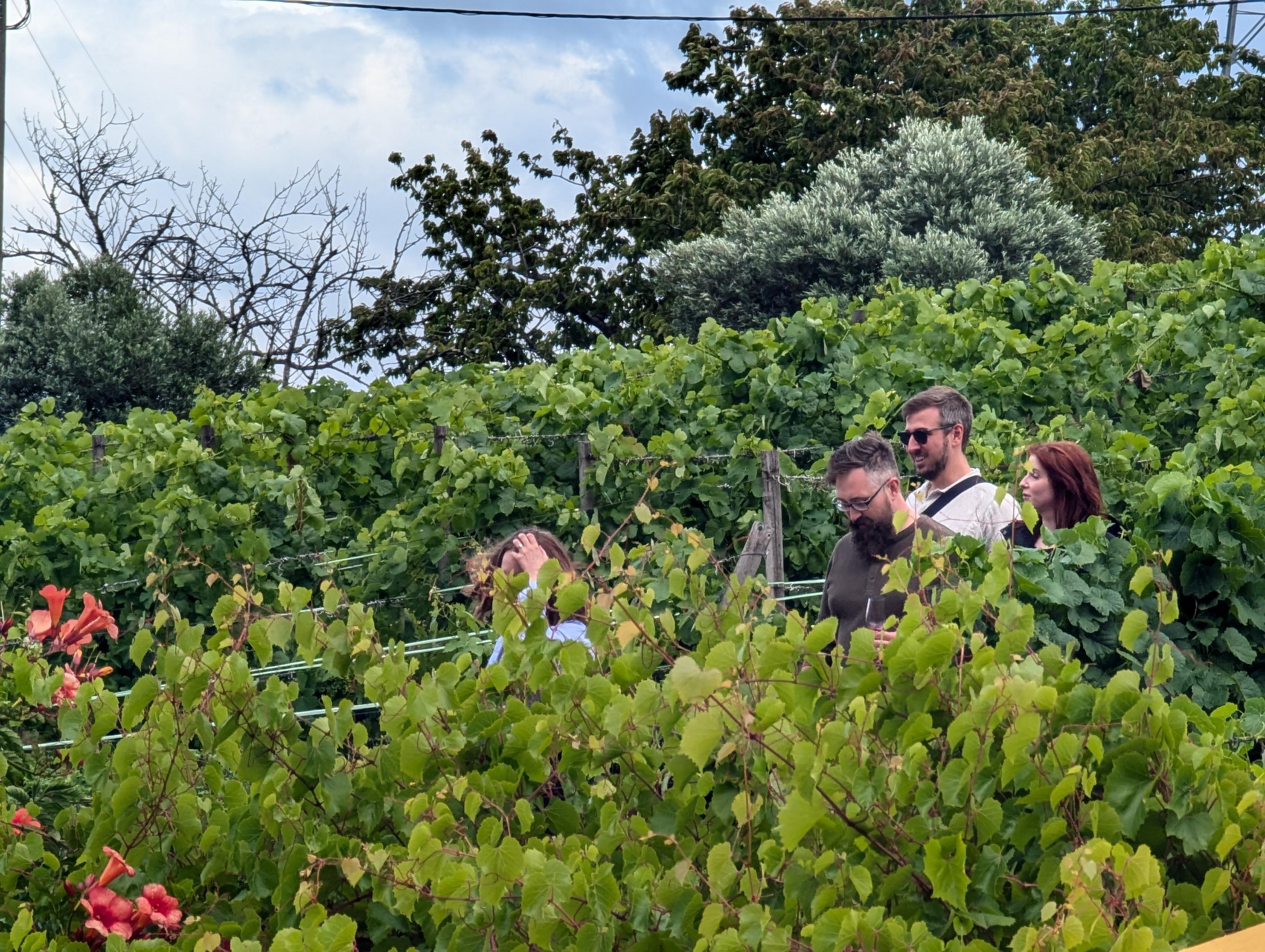Porto: Douro Valley & Vinho Verde Day Tour with Tastings, Lunch & Boat Cruise