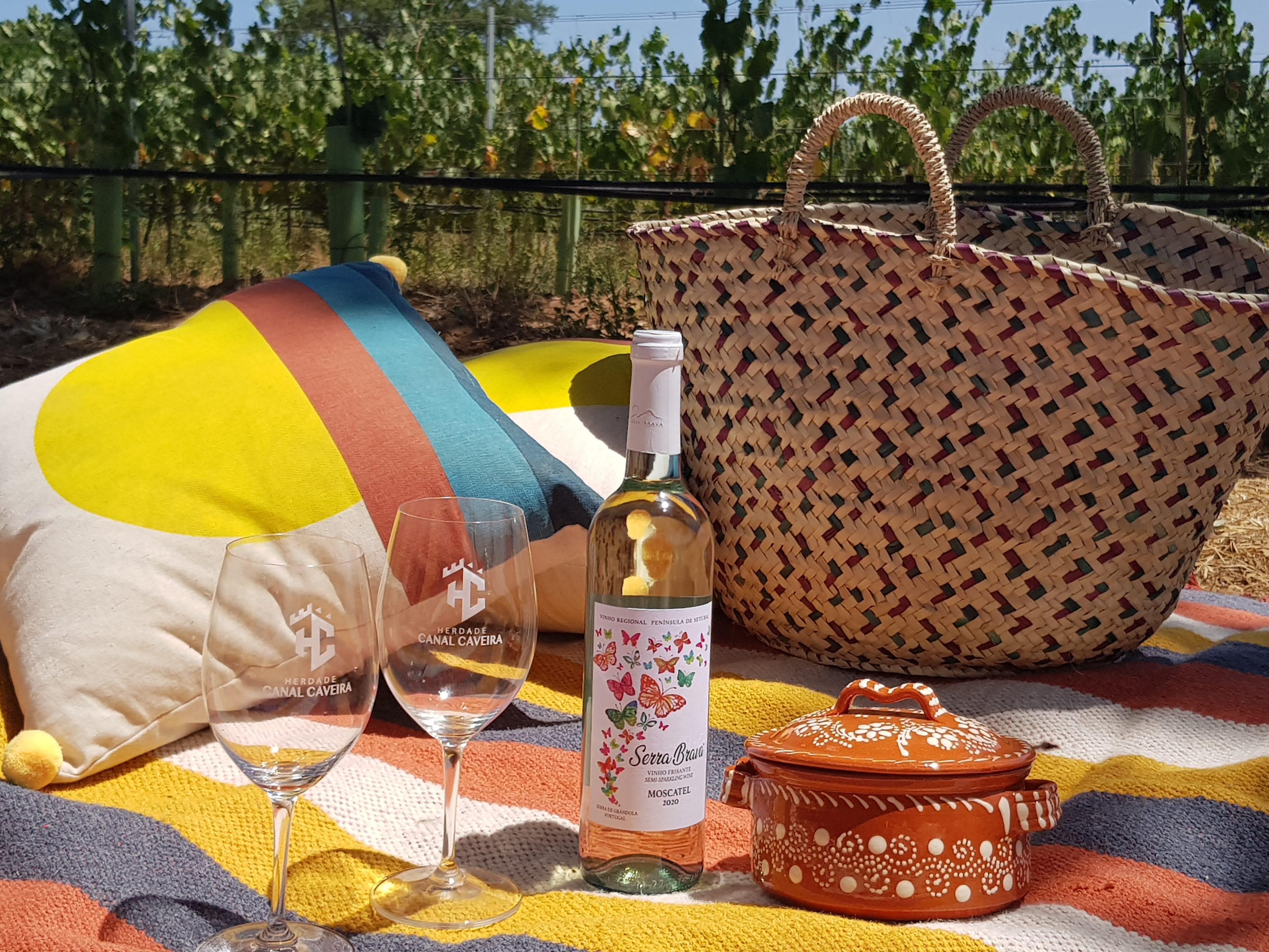 Canal Caveira Estate Tour & Vineyard Picnic