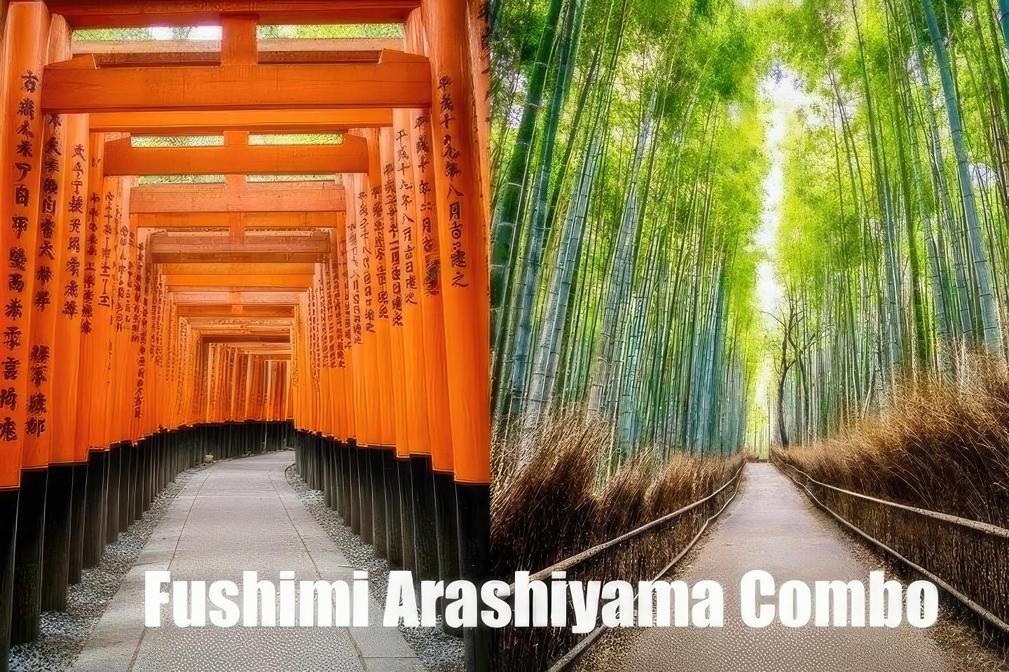 嵐山ガイド付きウォーキングツアー：竹林、禅寺、モンキーパーク