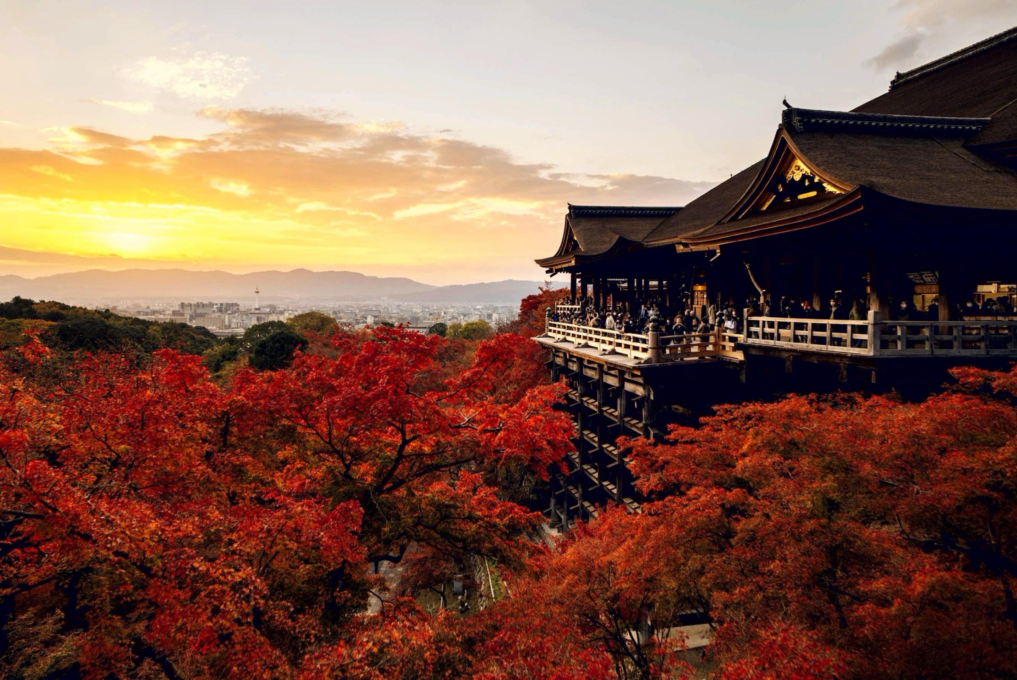 Private Kyoto & Nara Custom Day Tour with Hotel Pickup