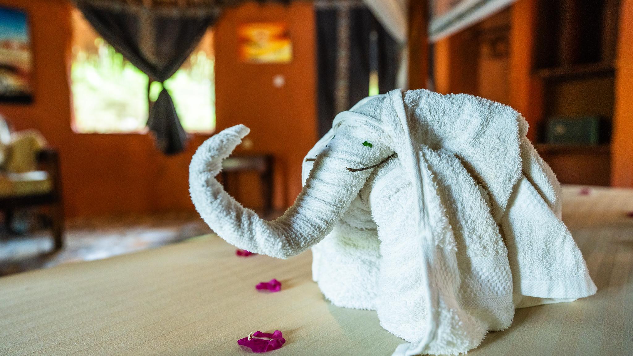 Zanzibar to Selous: 2-Day Safari with Flights & Bush Lunch