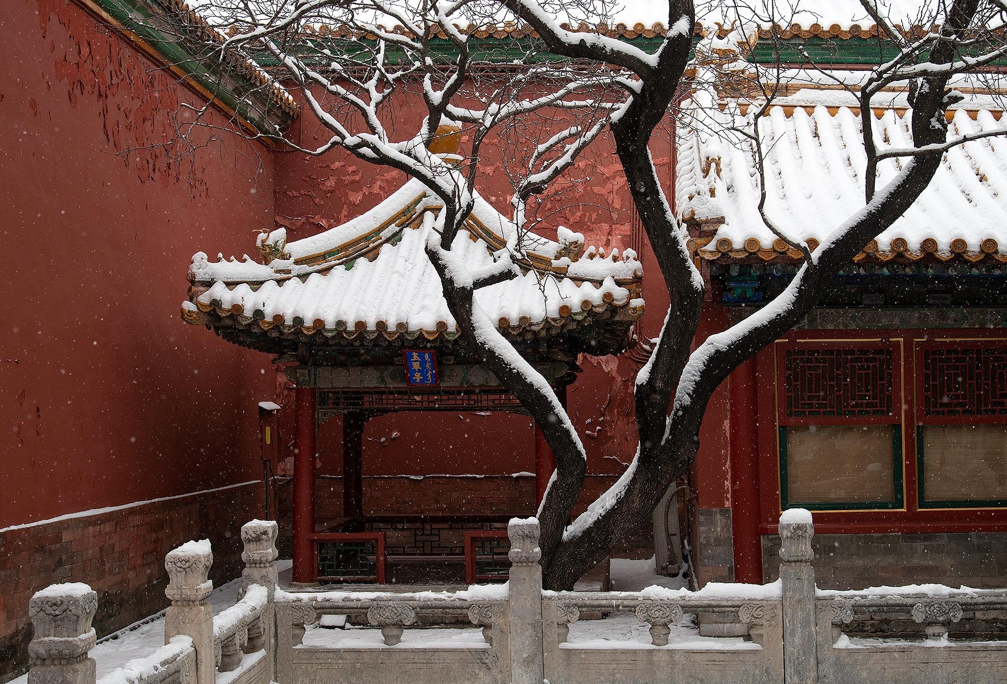 Beijing Imperial Heart: Tiananmen & Forbidden City Tour