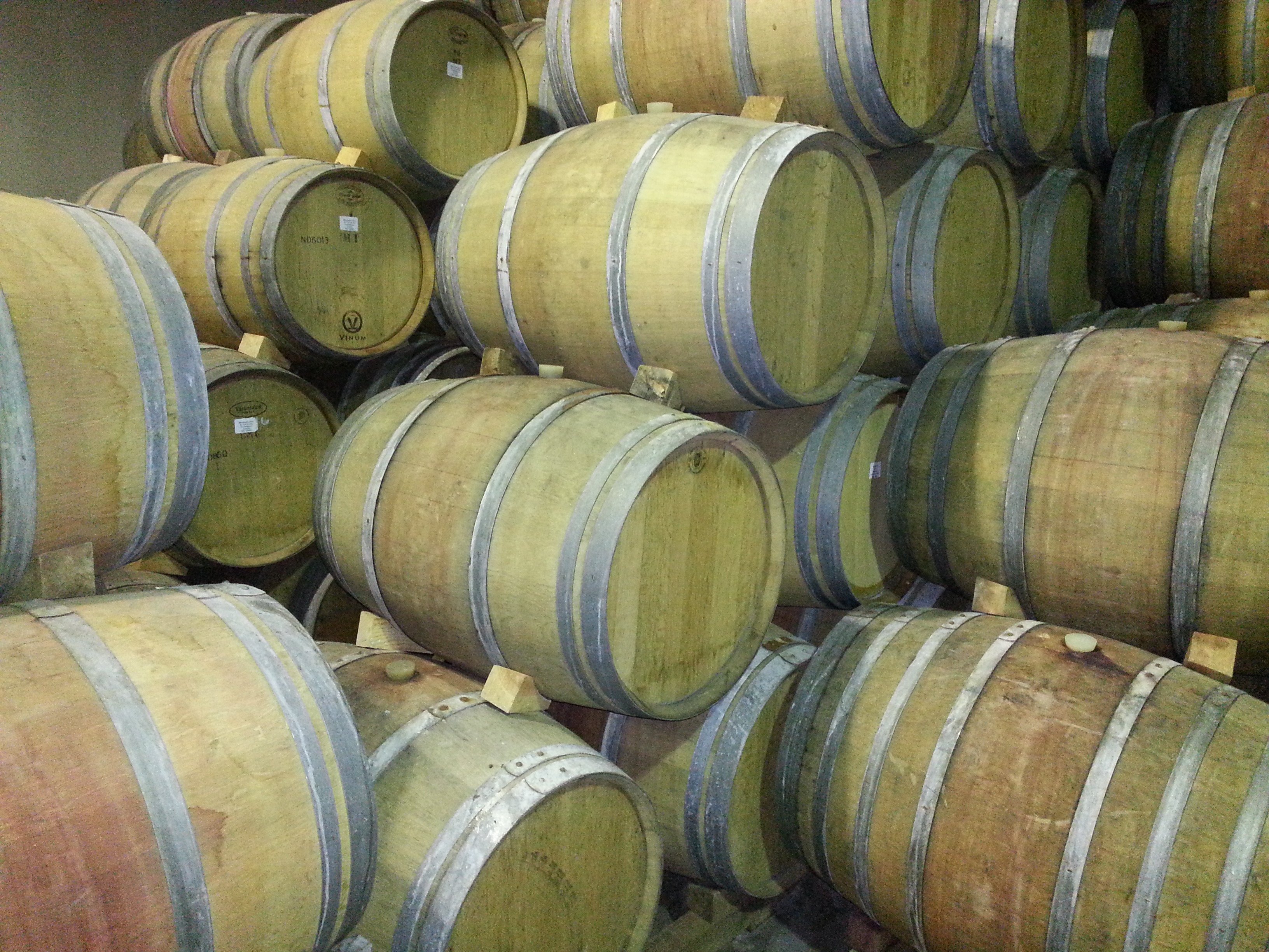 Cape Town Winelands Full-Day Tour: Tastings, Lunch & Cellar Visits