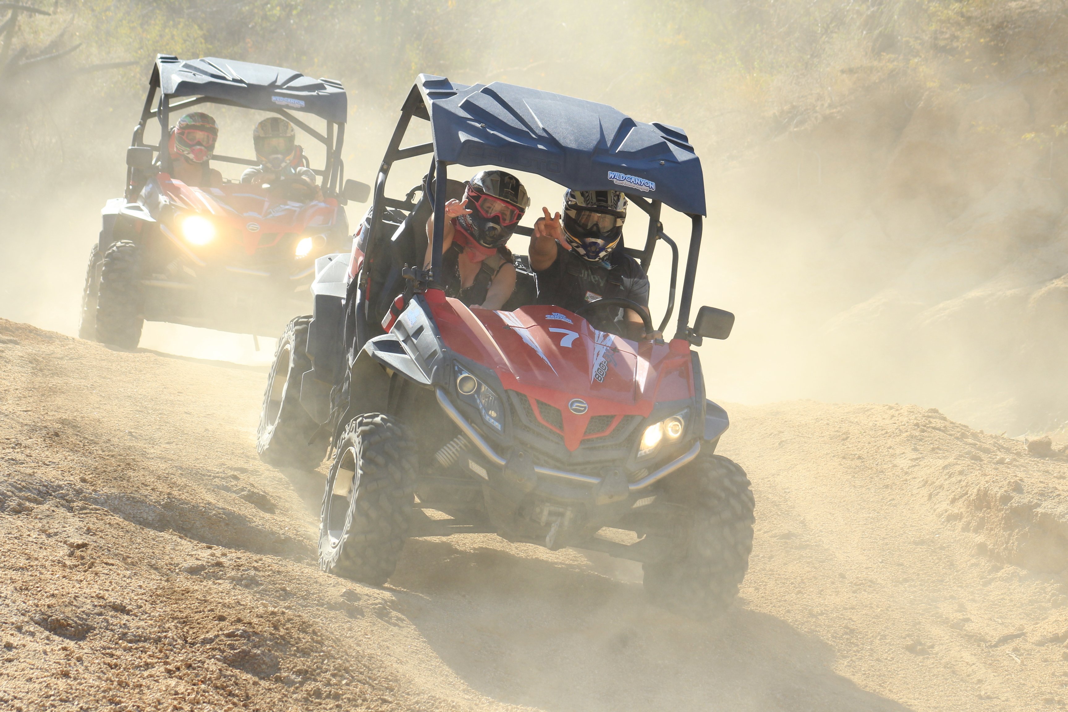 Los Cabos UTV Off-Road Adventure & Canyon Bridge Crossing