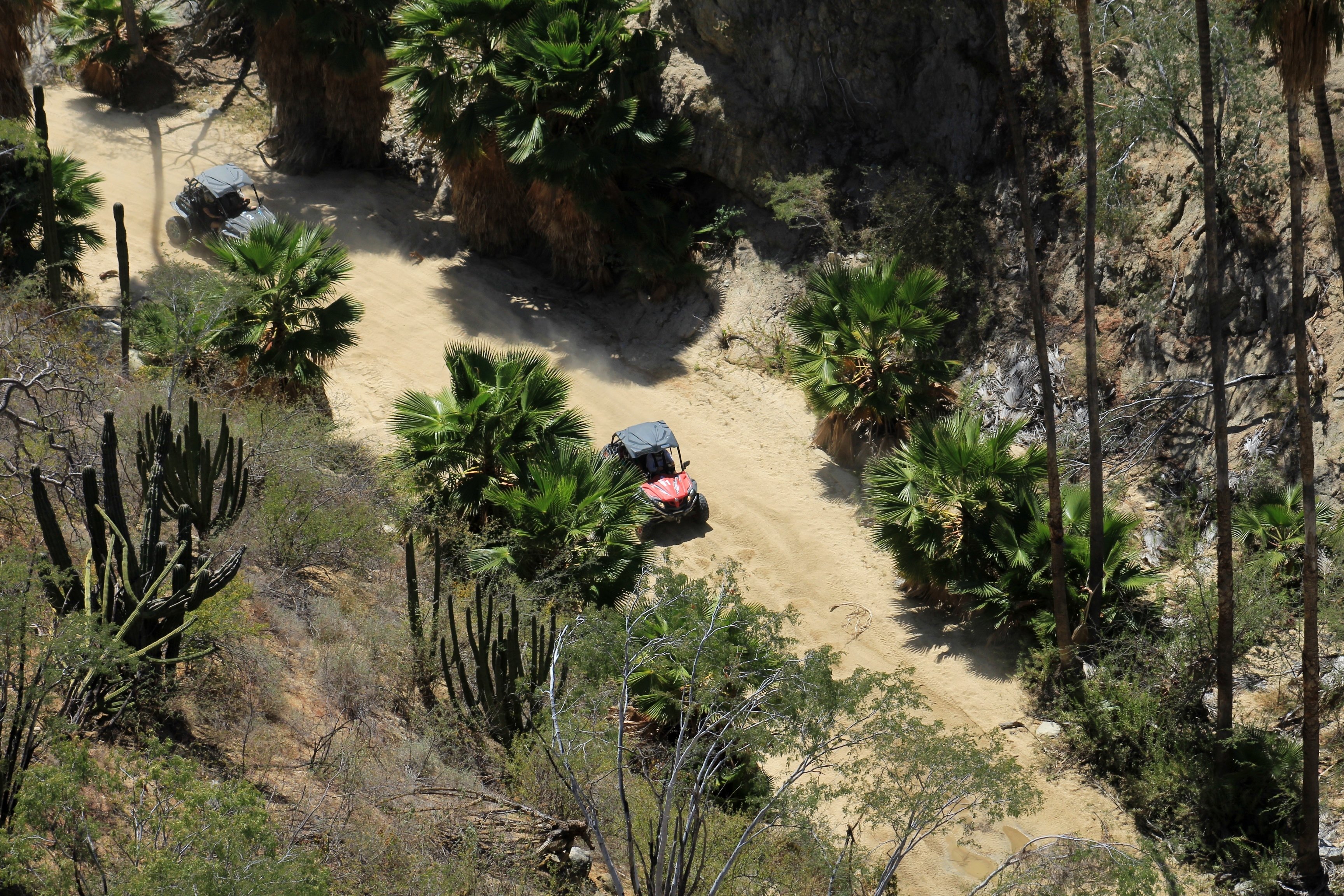 Los Cabos UTV Off-Road Adventure & Canyon Bridge Crossing