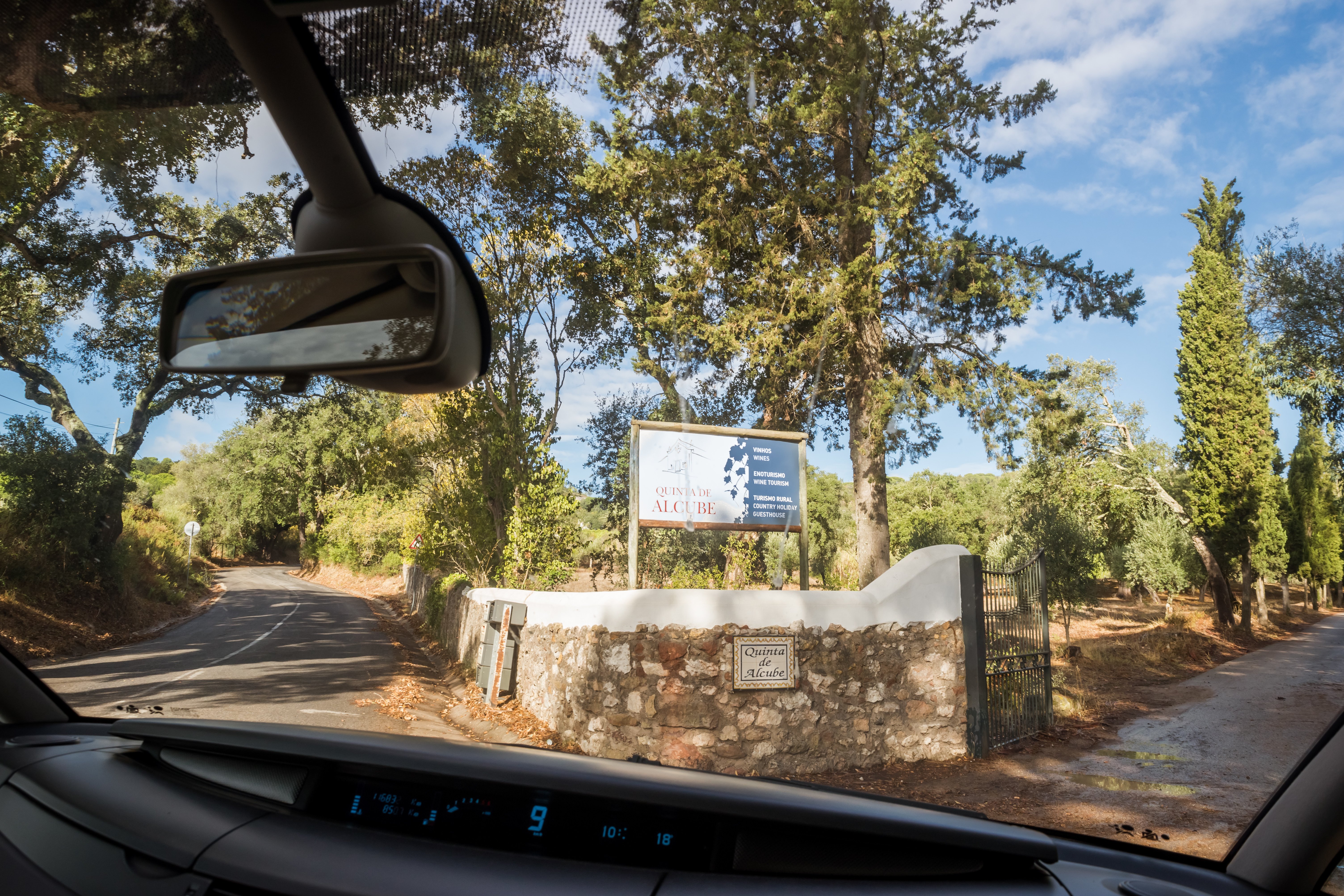 Lisbon: Private Setúbal Wine Country Tour with Tastings