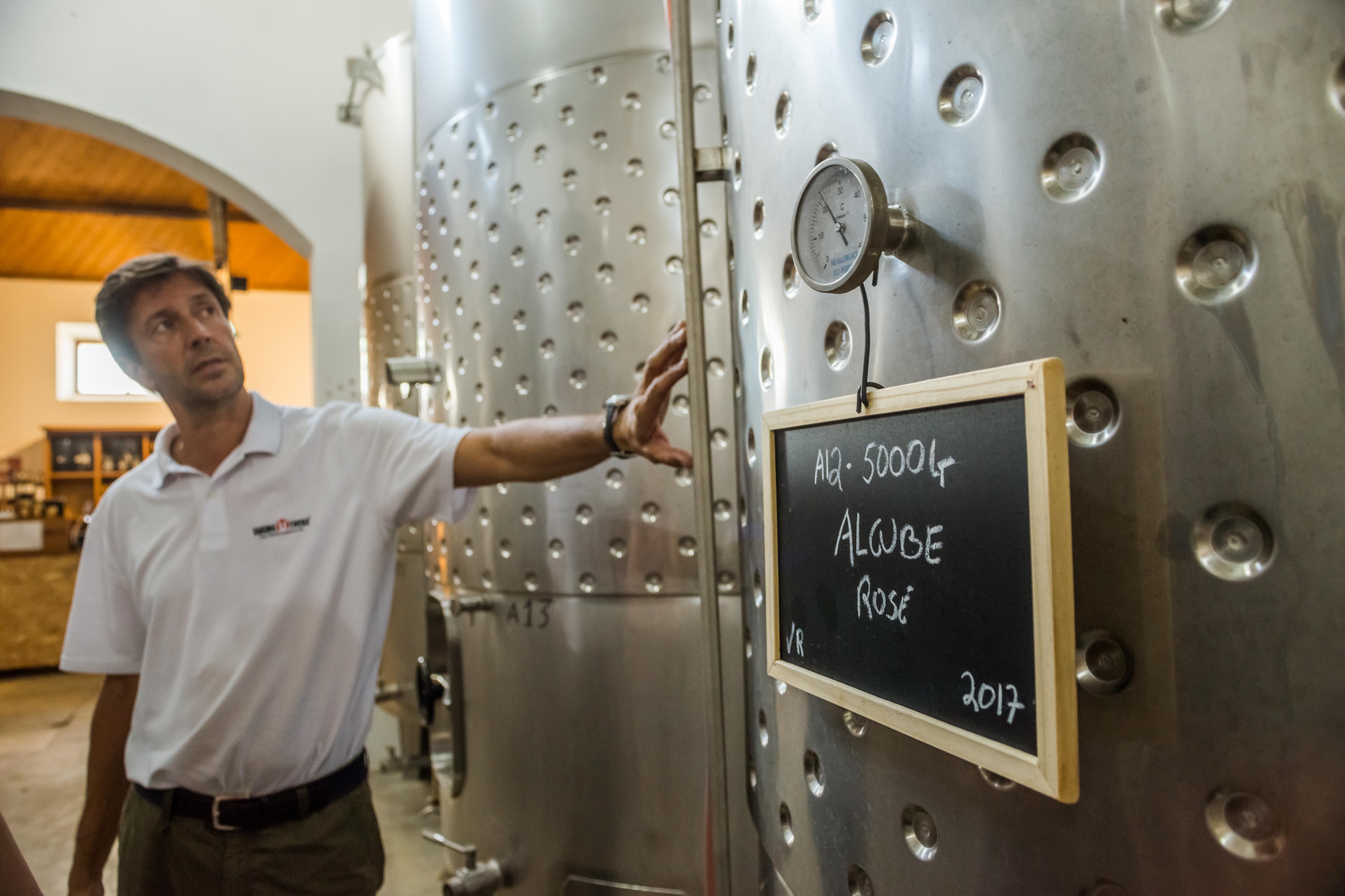 Lisbon: Private Setúbal Wine Country Tour with Tastings