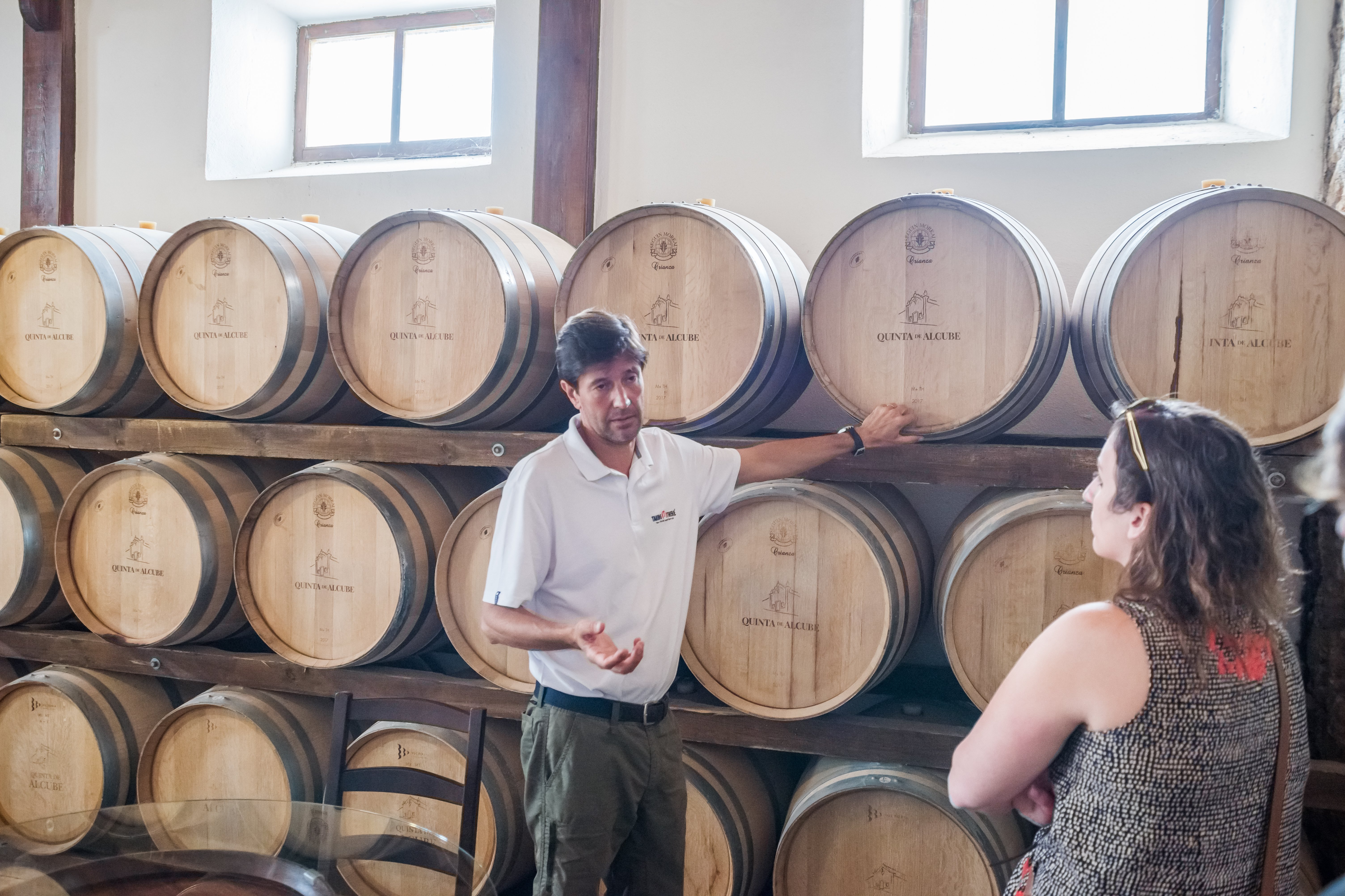 Lisbon: Private Setúbal Wine Country Tour with Tastings