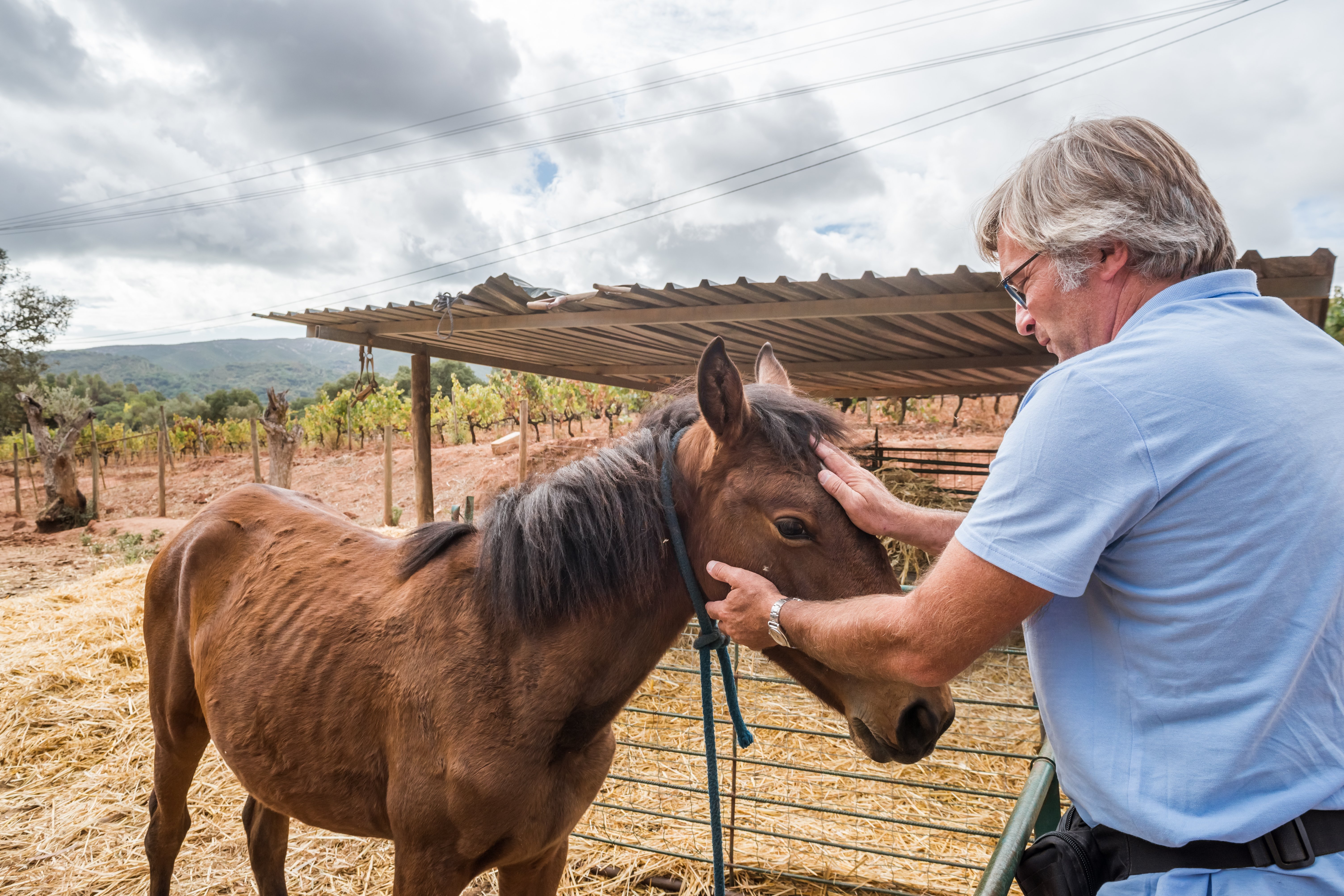 Lisbon: Private Setúbal Wine Country Tour with Tastings