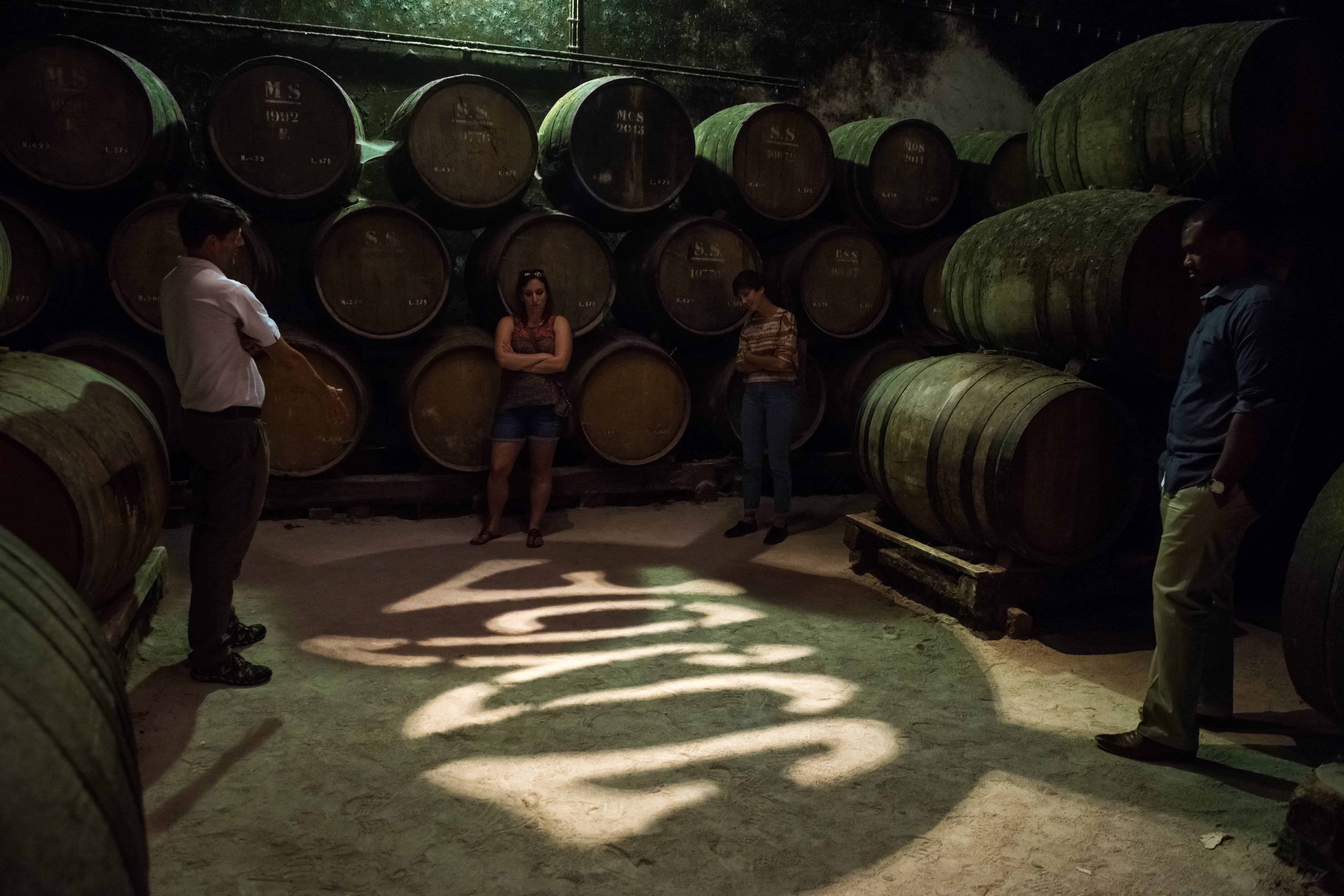 Lisbon: Private Setúbal Wine Country Tour with Tastings