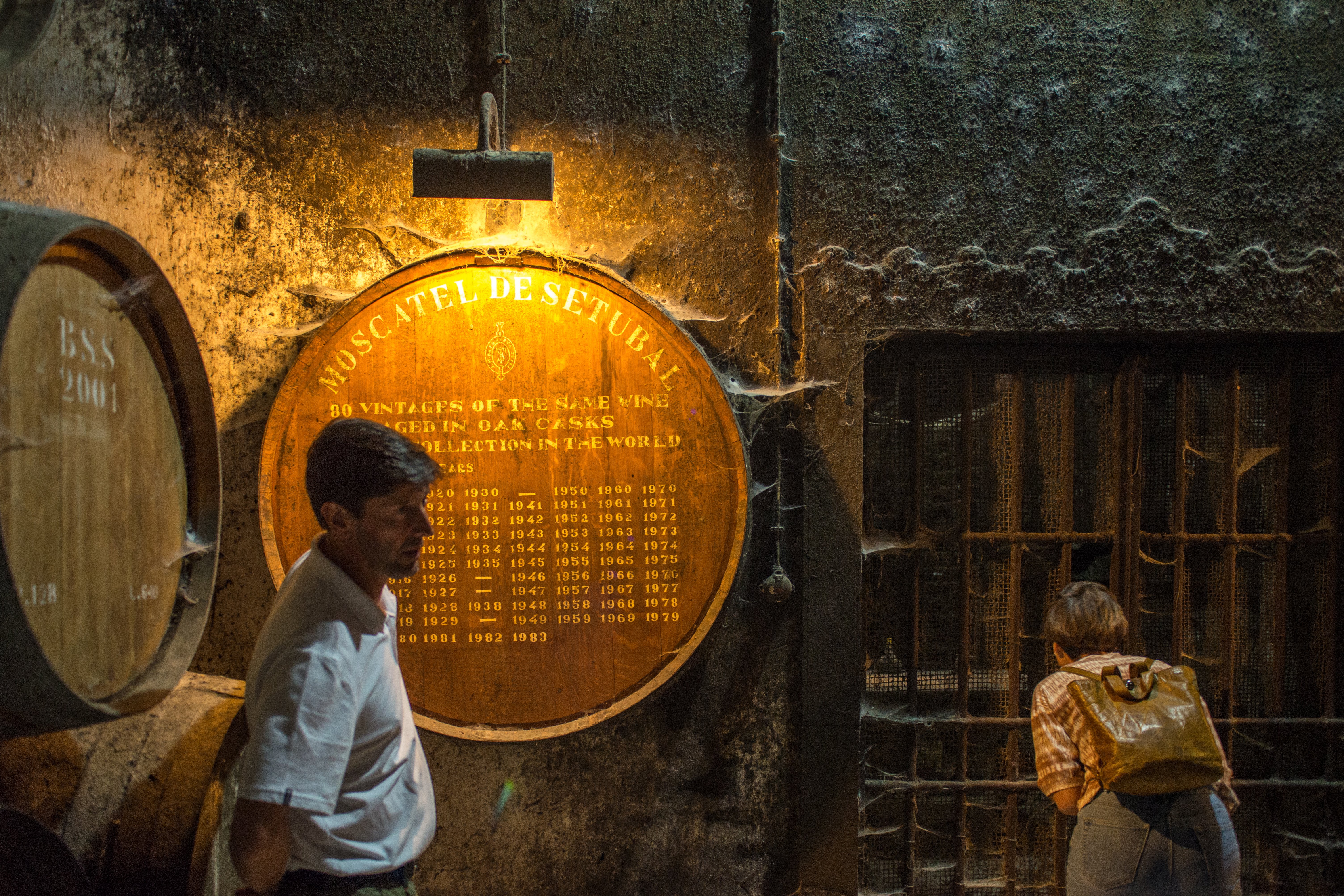 Lisbon: Private Setúbal Wine Country Tour with Tastings