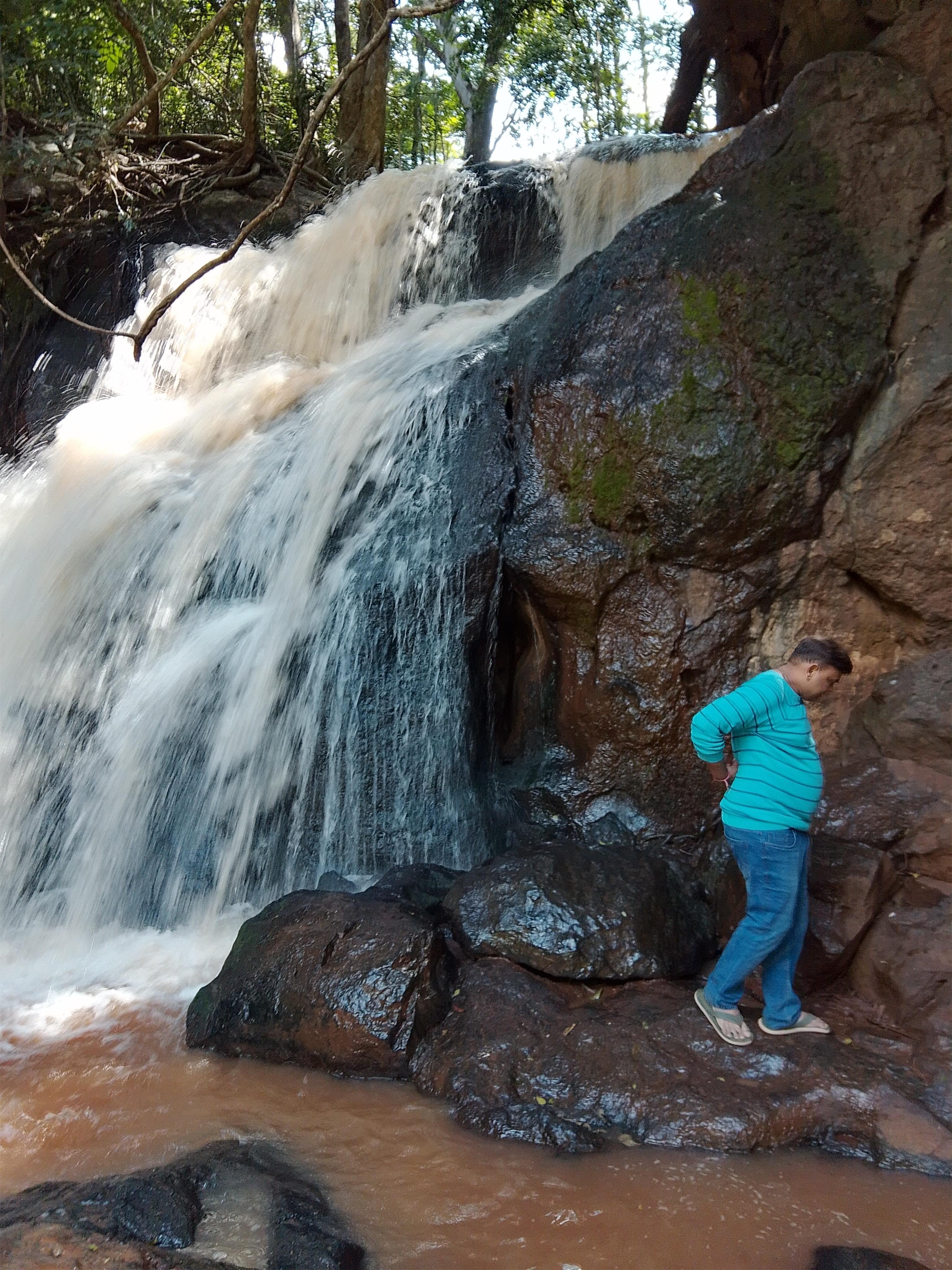 Karura Forest: Immersive Nature & History Walking Tour