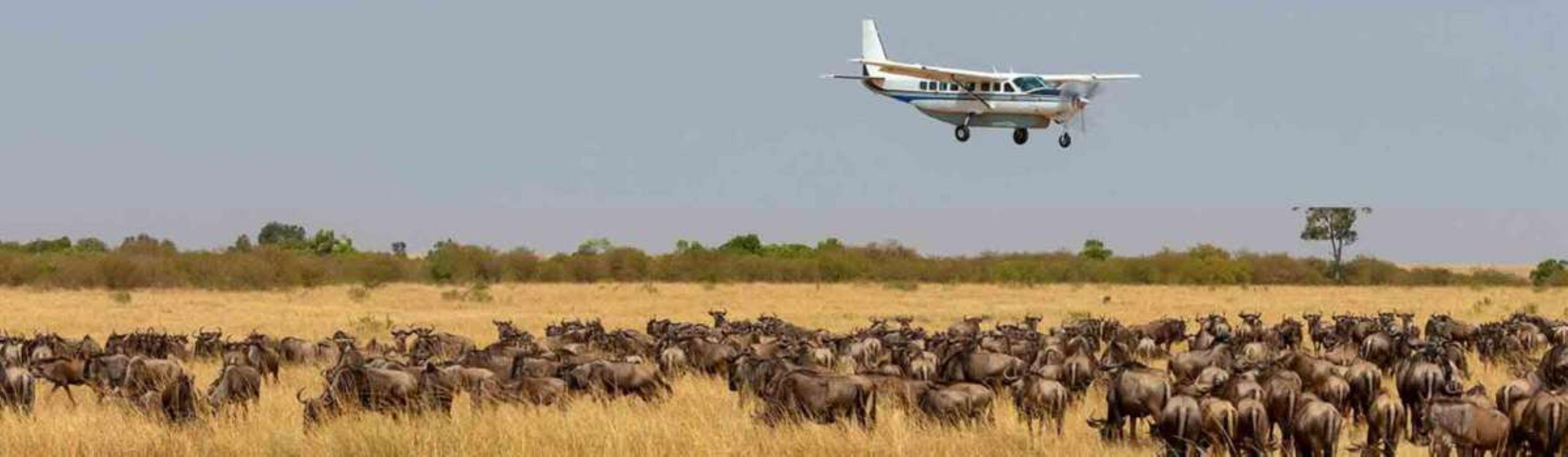 3-Day Masai Mara Fly-In Safari from Nairobi