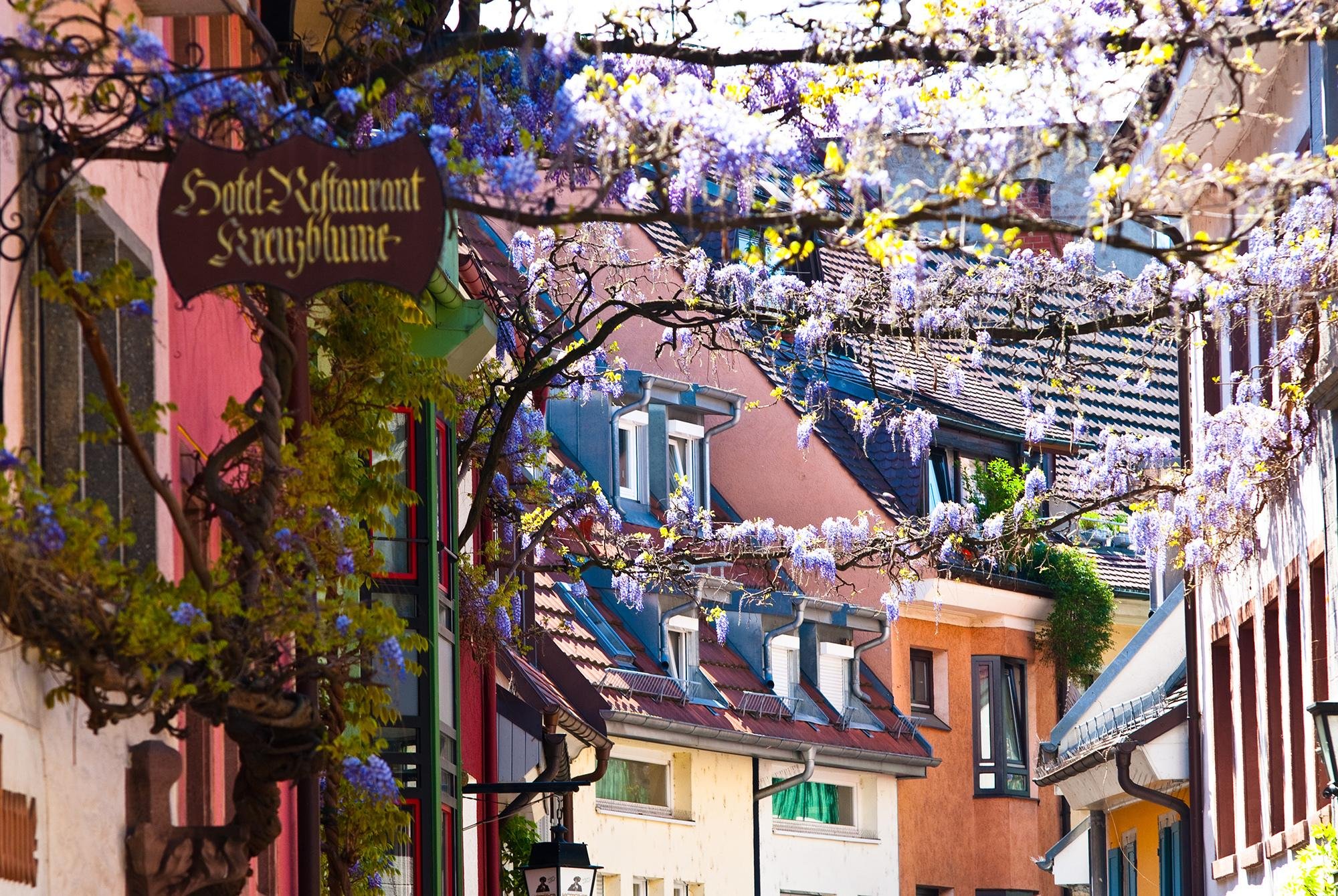 Freiburg Old Town Walking Experience