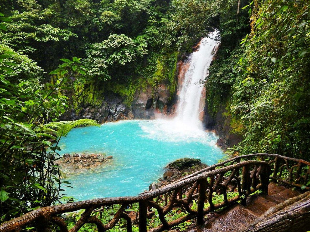 Rio Celeste Waterfall & Tenorio National Park Guided Hike