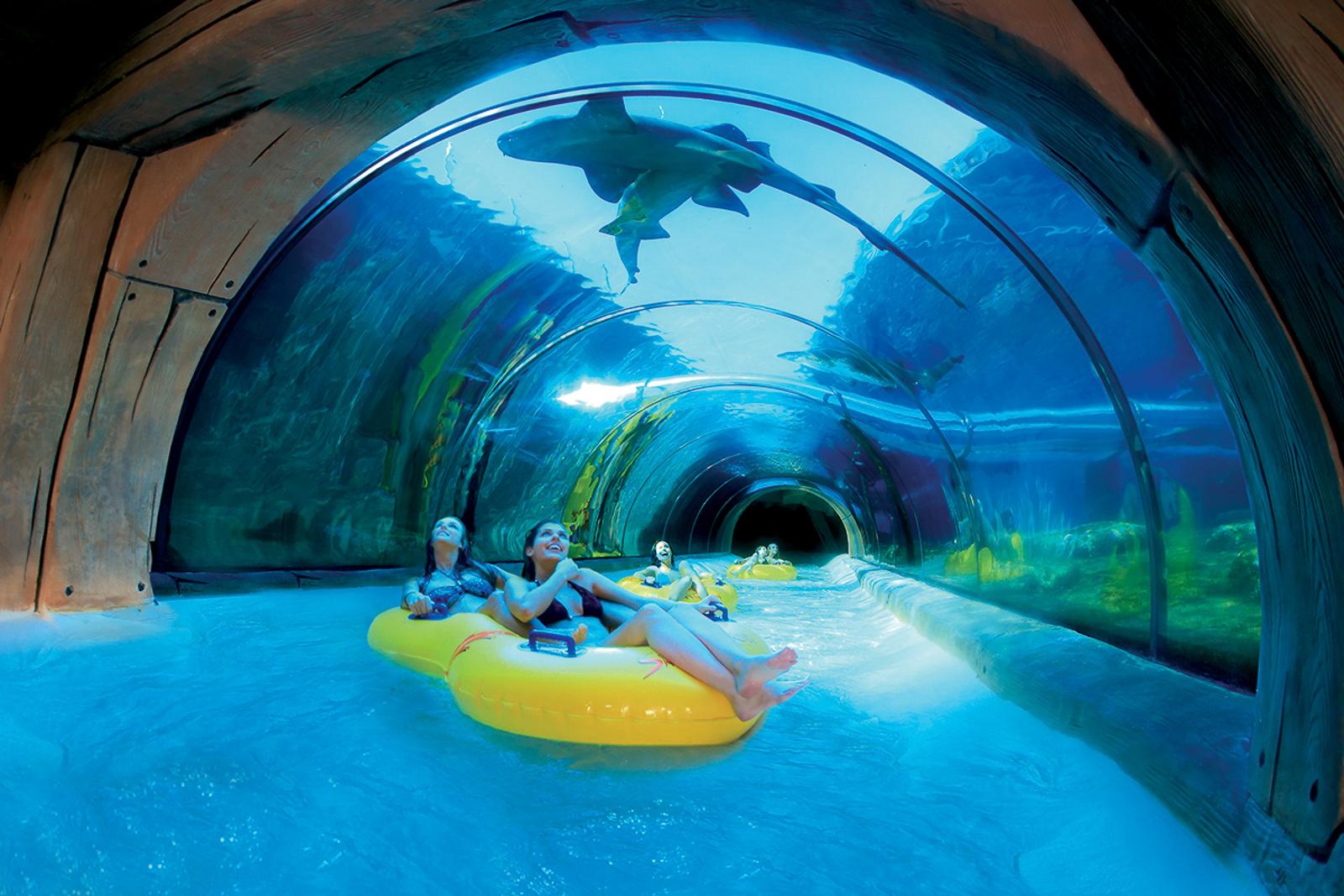 Tenerife Twin Park Pass: Loro Parque & Siam Park with Transfers
