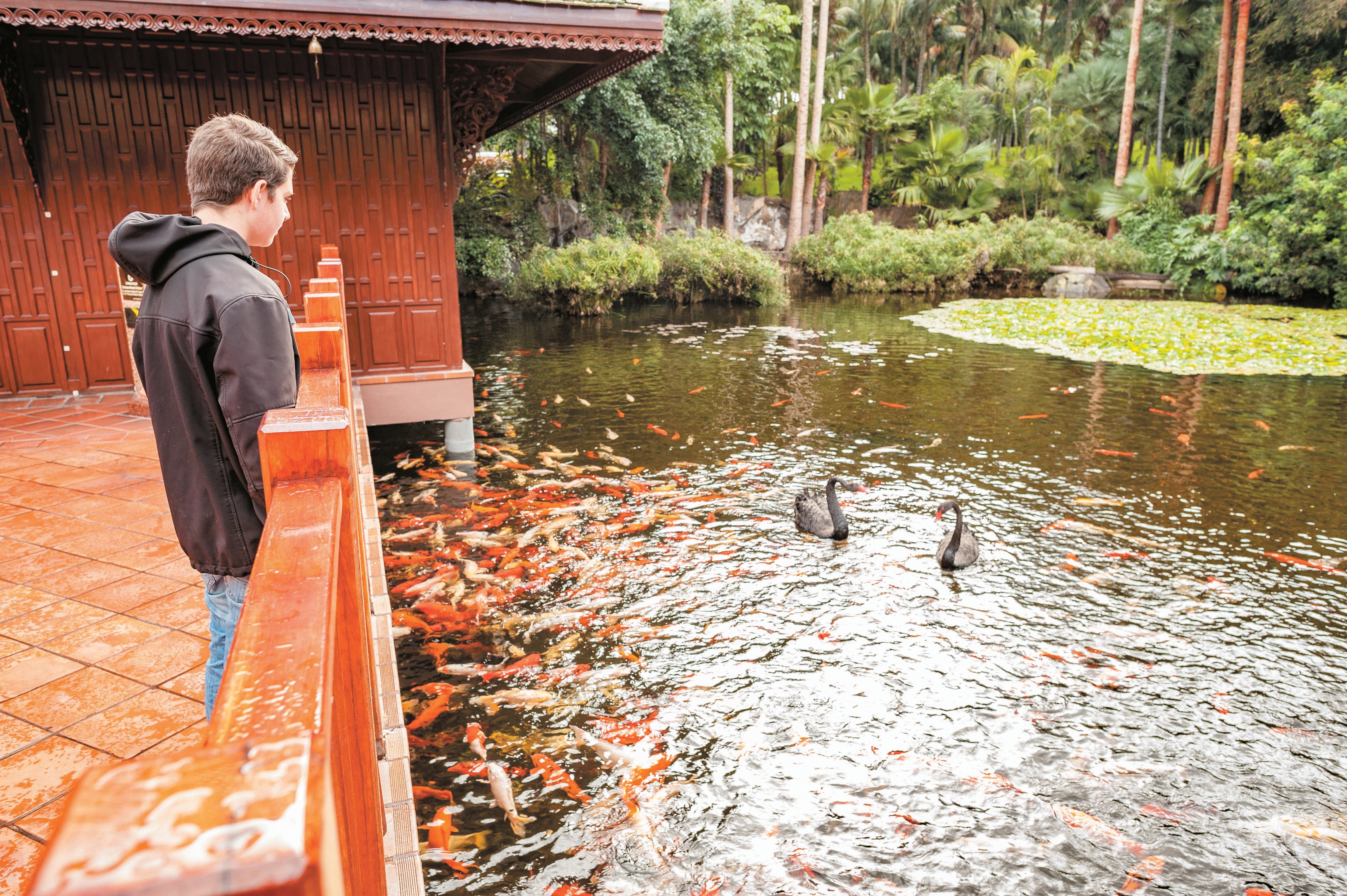 Tenerife Twin Park Pass: Loro Parque & Siam Park with Transfers