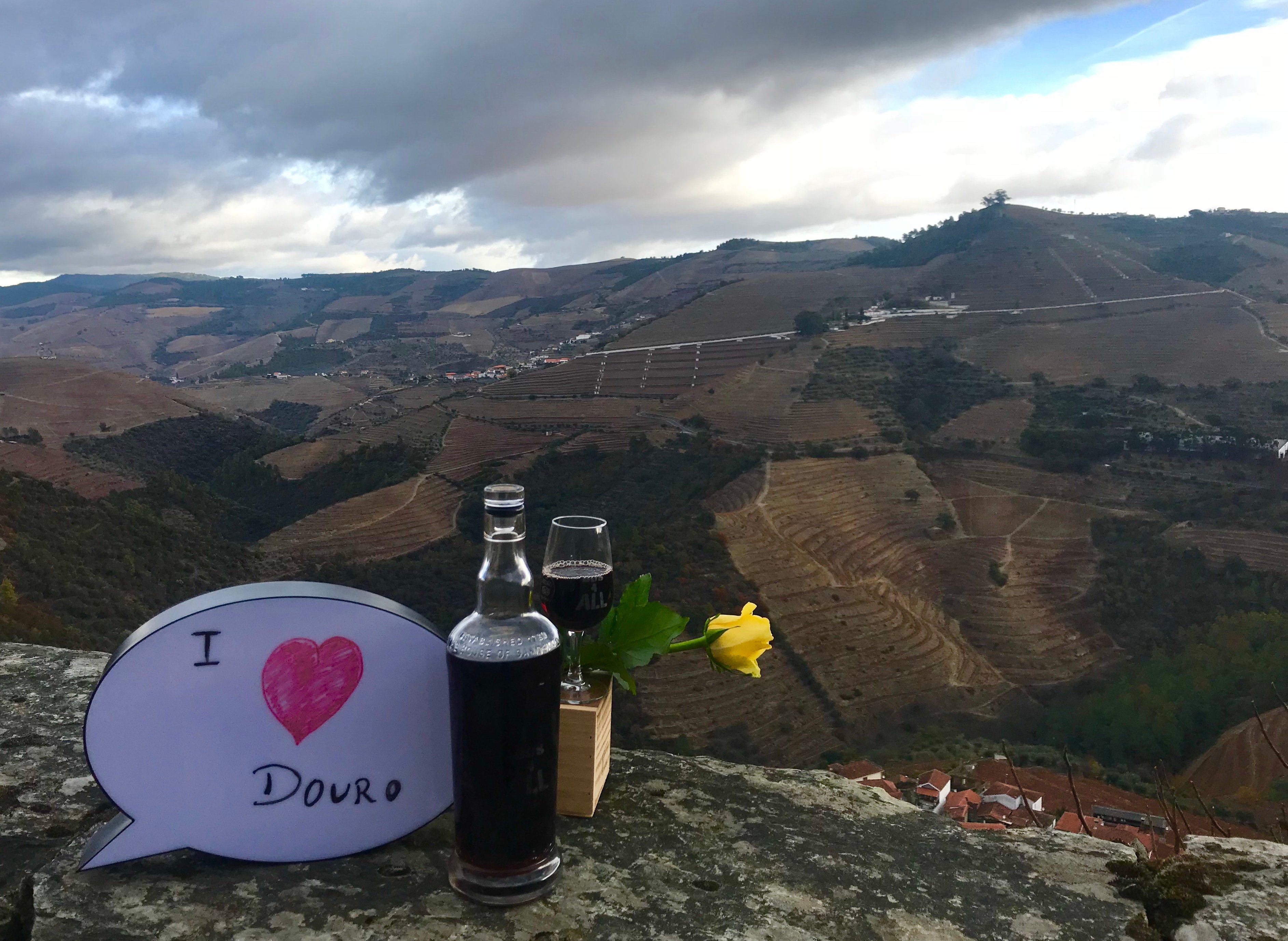 Private Douro Valley Day Tour from Porto with River Cruise & Wine Tasting